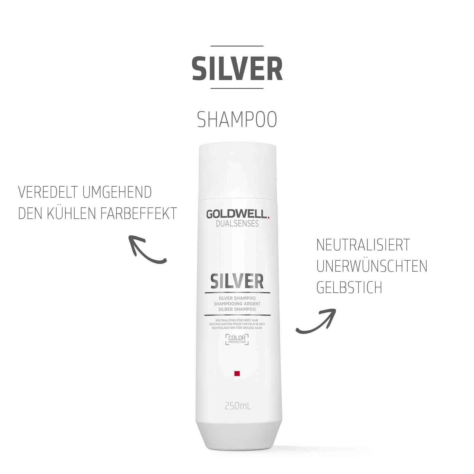 Goldwell Dualsenses Silver Silver Shampoo