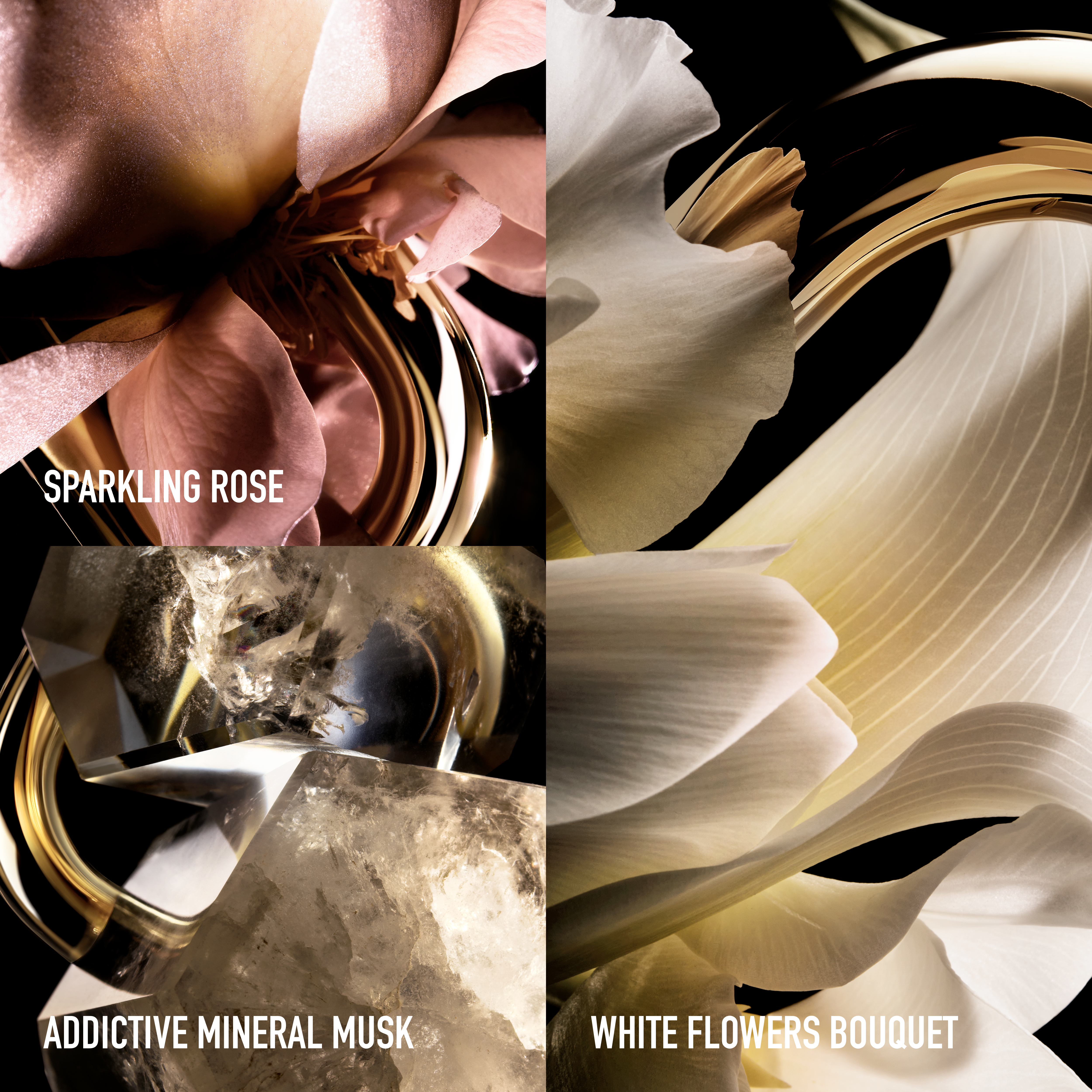 Rabanne Million Gold For Her Deo Spray