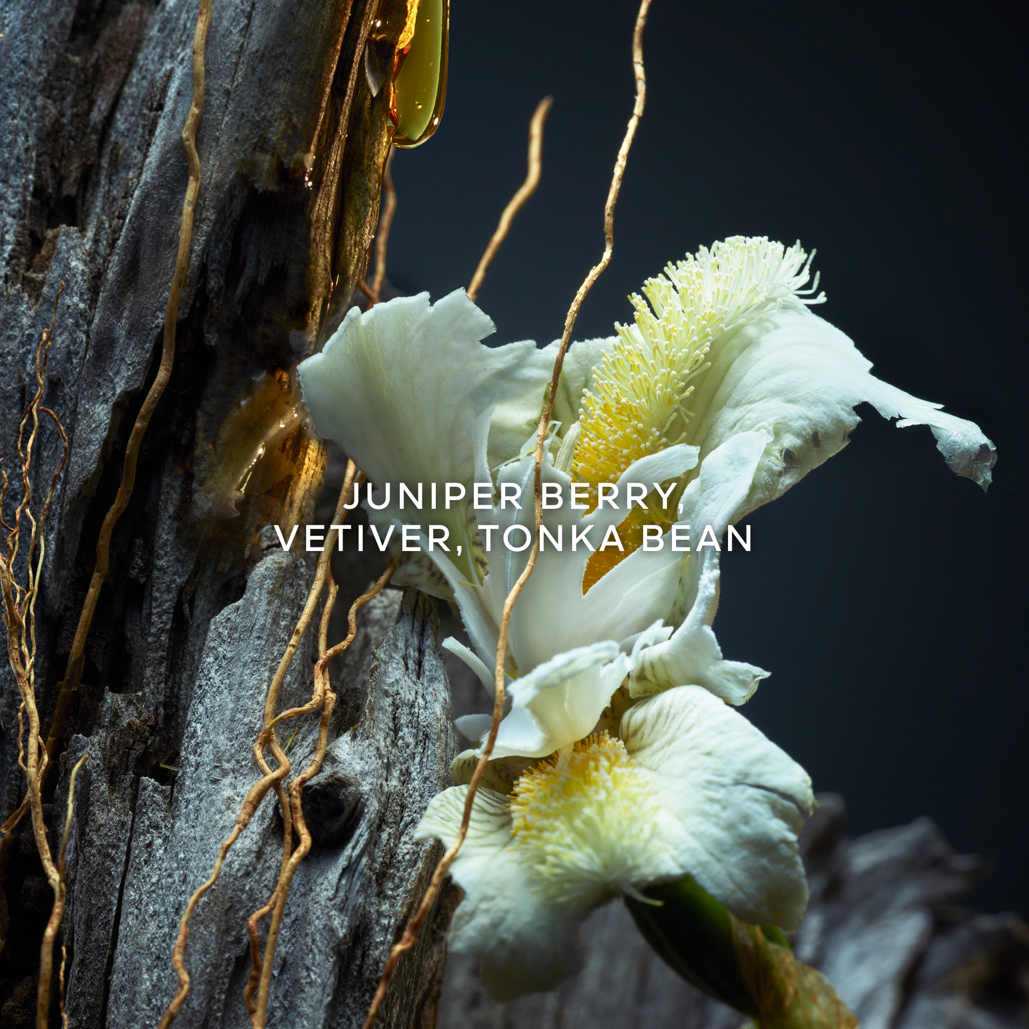 Guerlain Vetiver Parfum