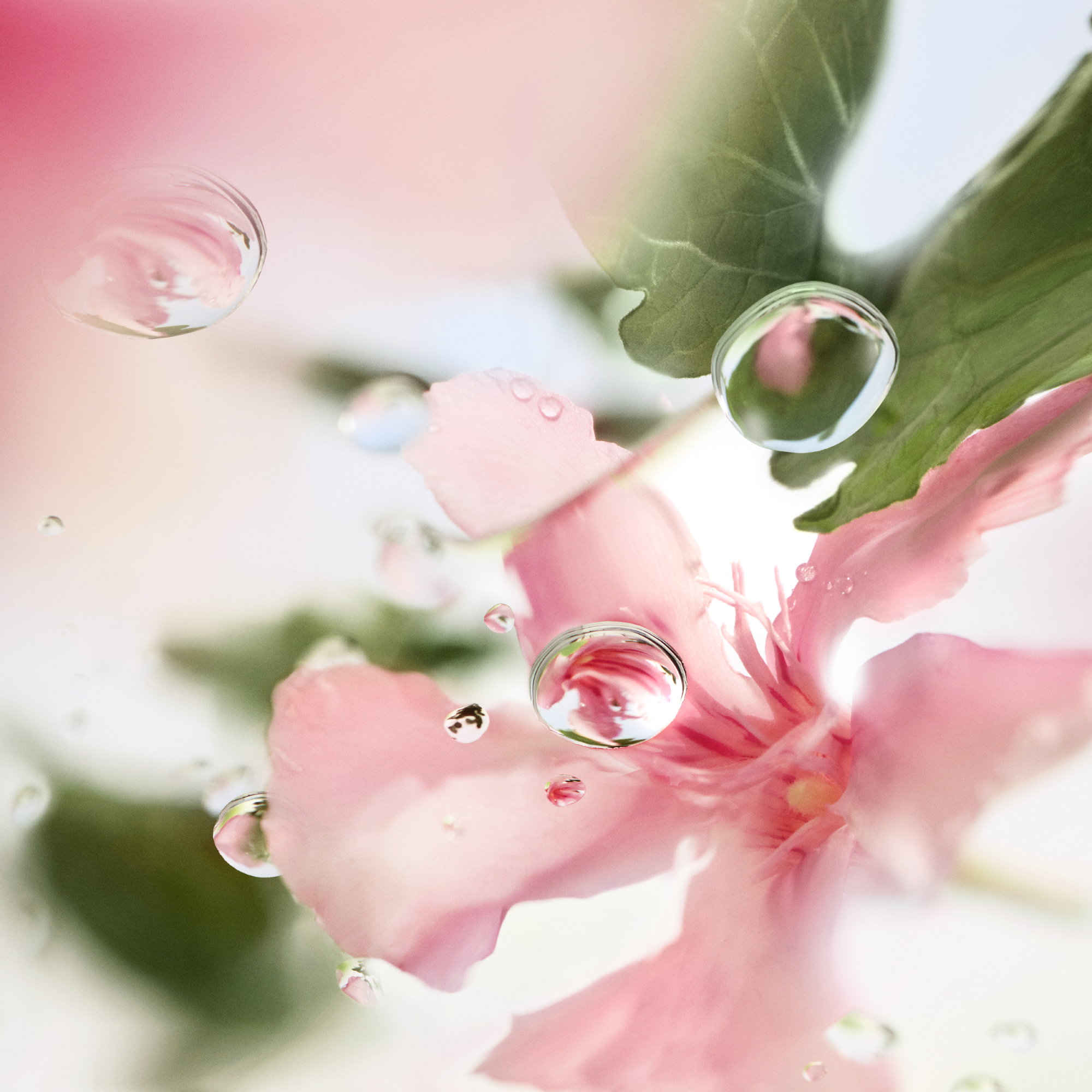 Lancôme Les Ô Ôver the Top Eau de Toilette (EdT)