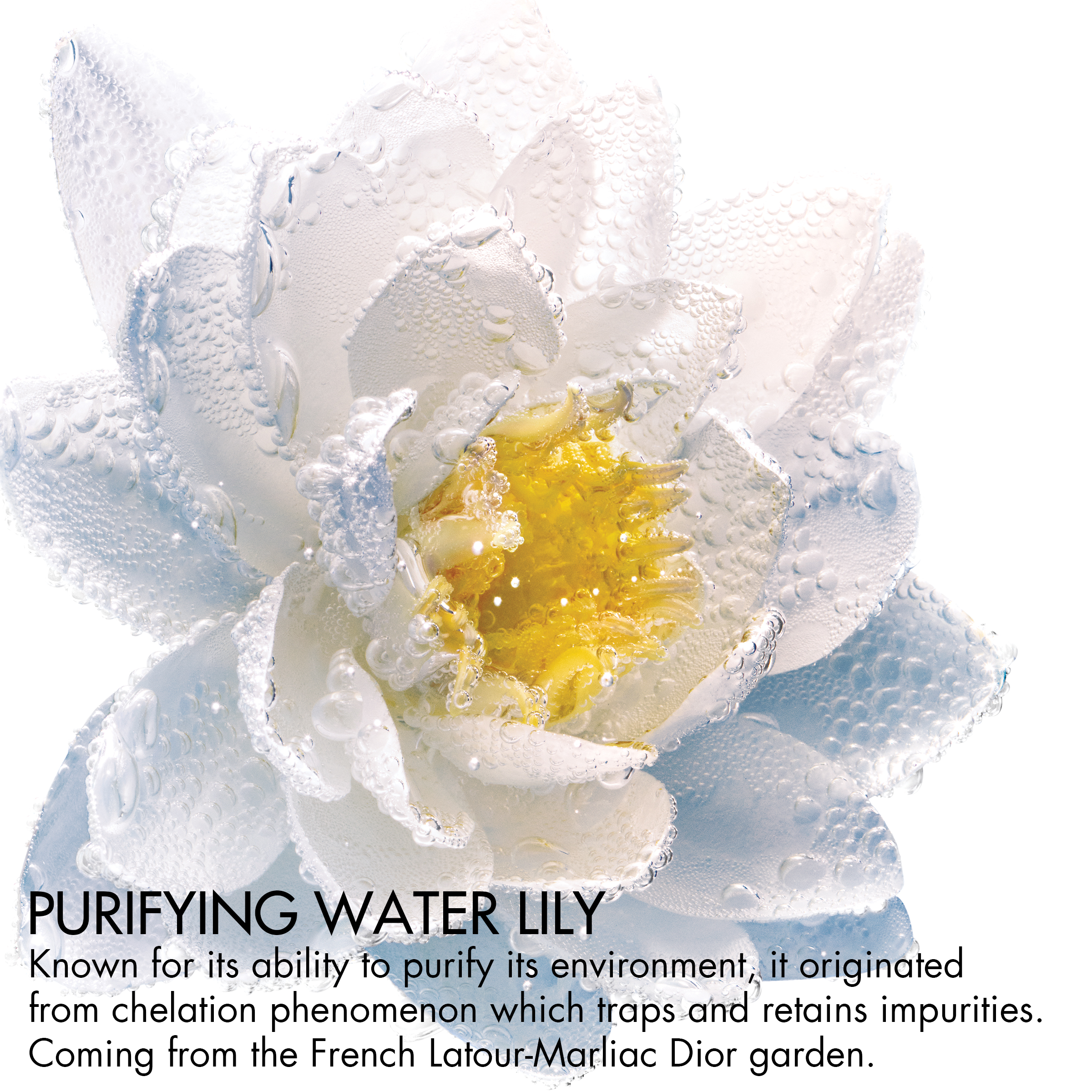 DIOR AUGEN- UND LIPPEN-MAKE-UP-ENTFERNER Zwei-Phasen-Make-Up-Entferner mit reinigendem Seerosenextrakt