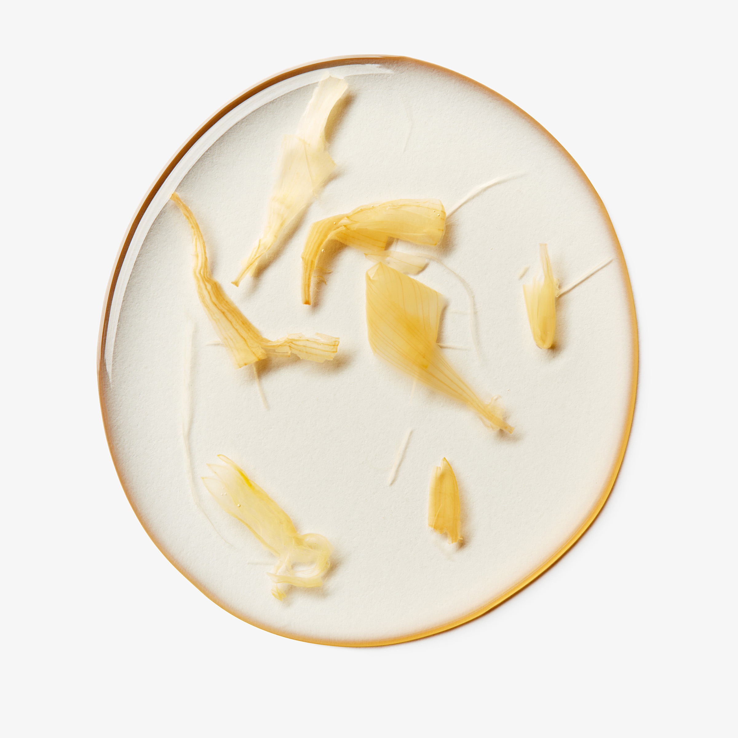 Kiehl's Calendula Extract Toner