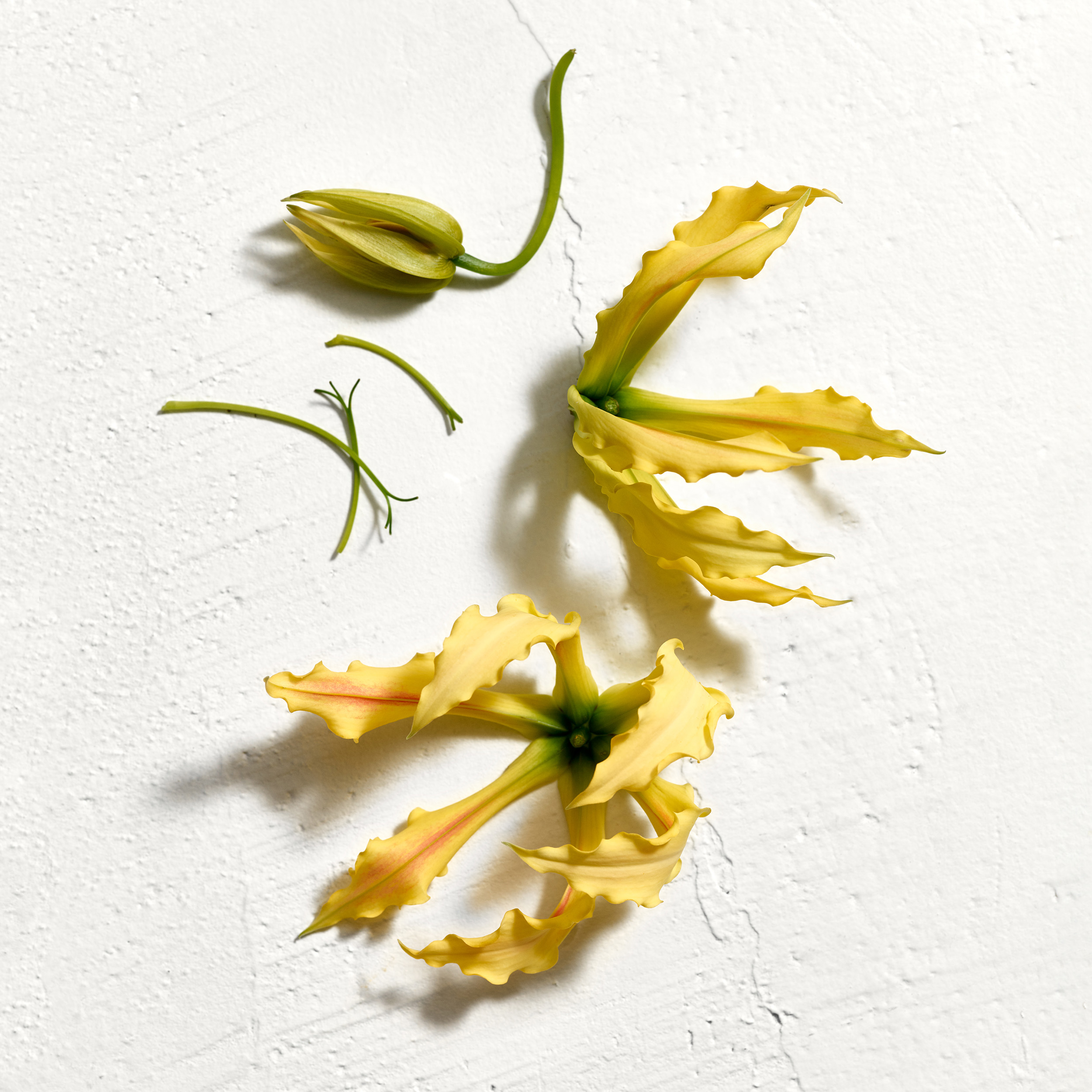 Jil Sander Sun Women Parfum