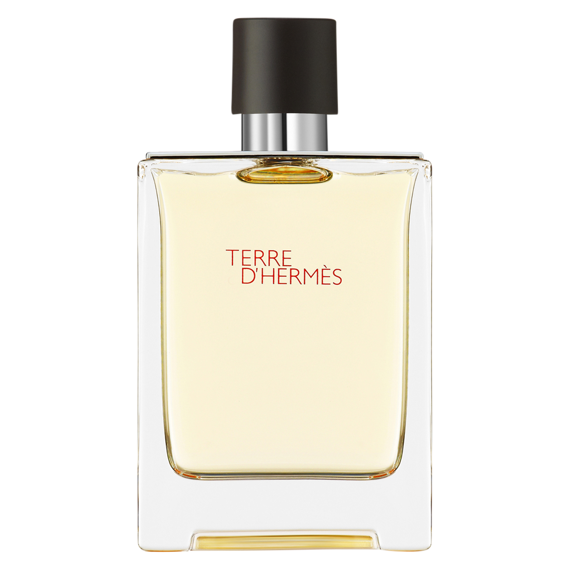 HERMÈS TERRE D'HERMÈS EAU DE TOILETTE