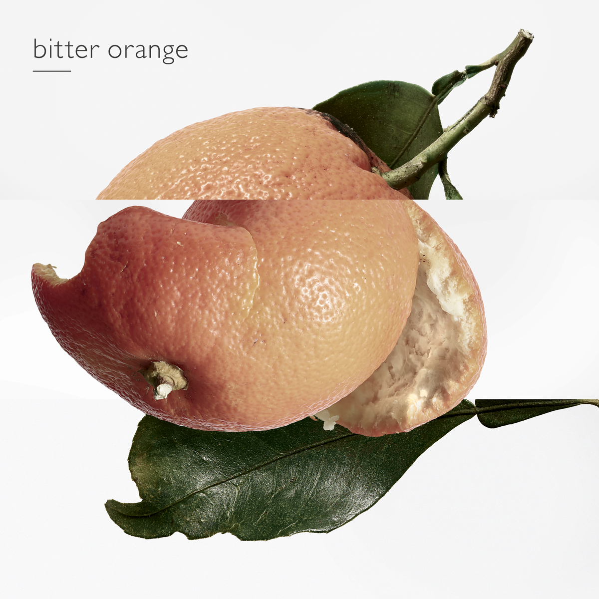 HERMÈS EAU DES MERVEILLES EAU DE TOILETTE