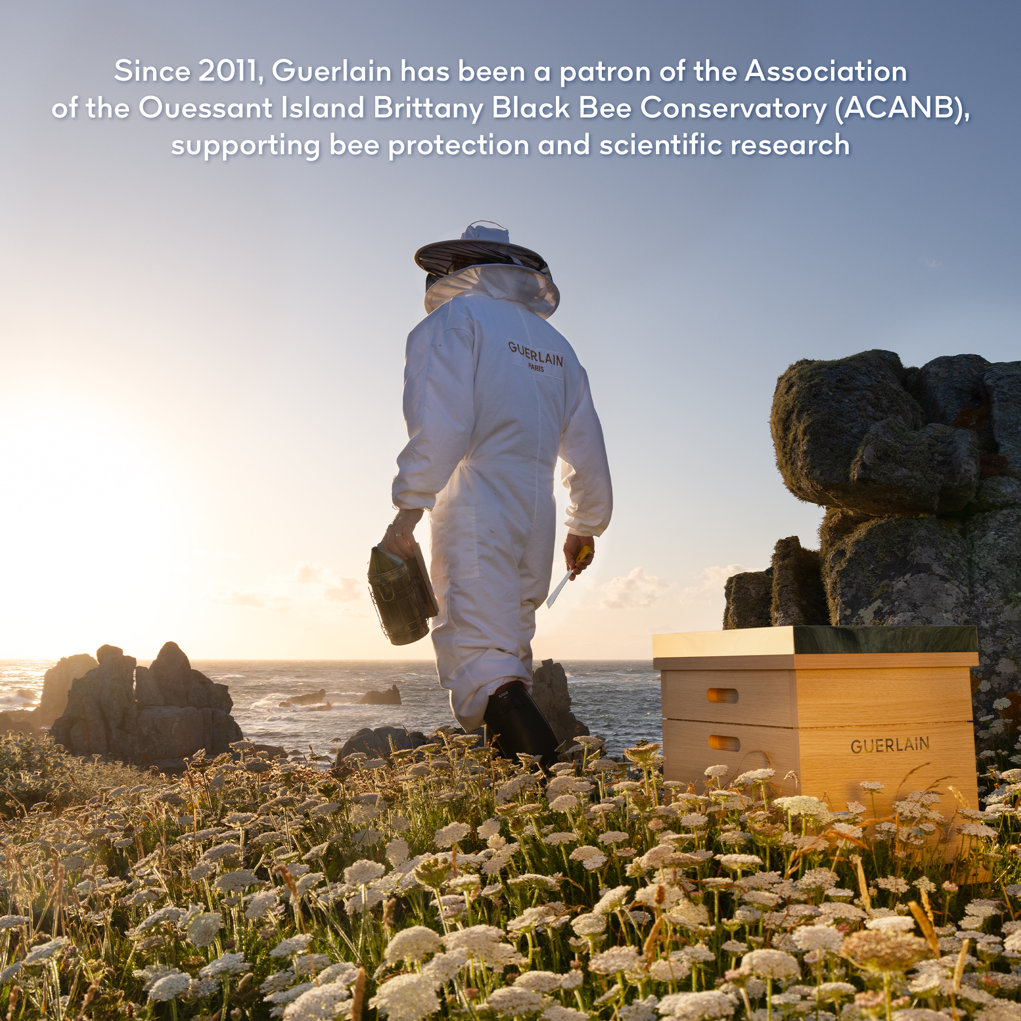 Guerlain Abeille Royale Repairing & Youth Hand Balm