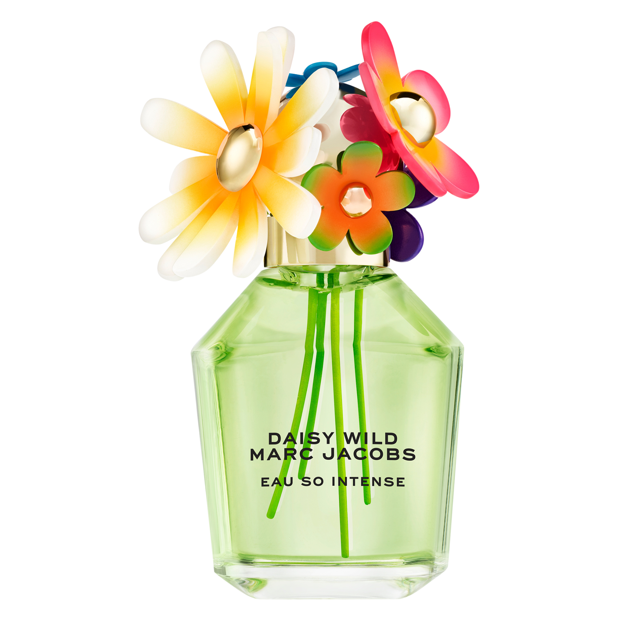 Marc Jacobs Daisy Wild Intense Eau de Parfum (EdP)