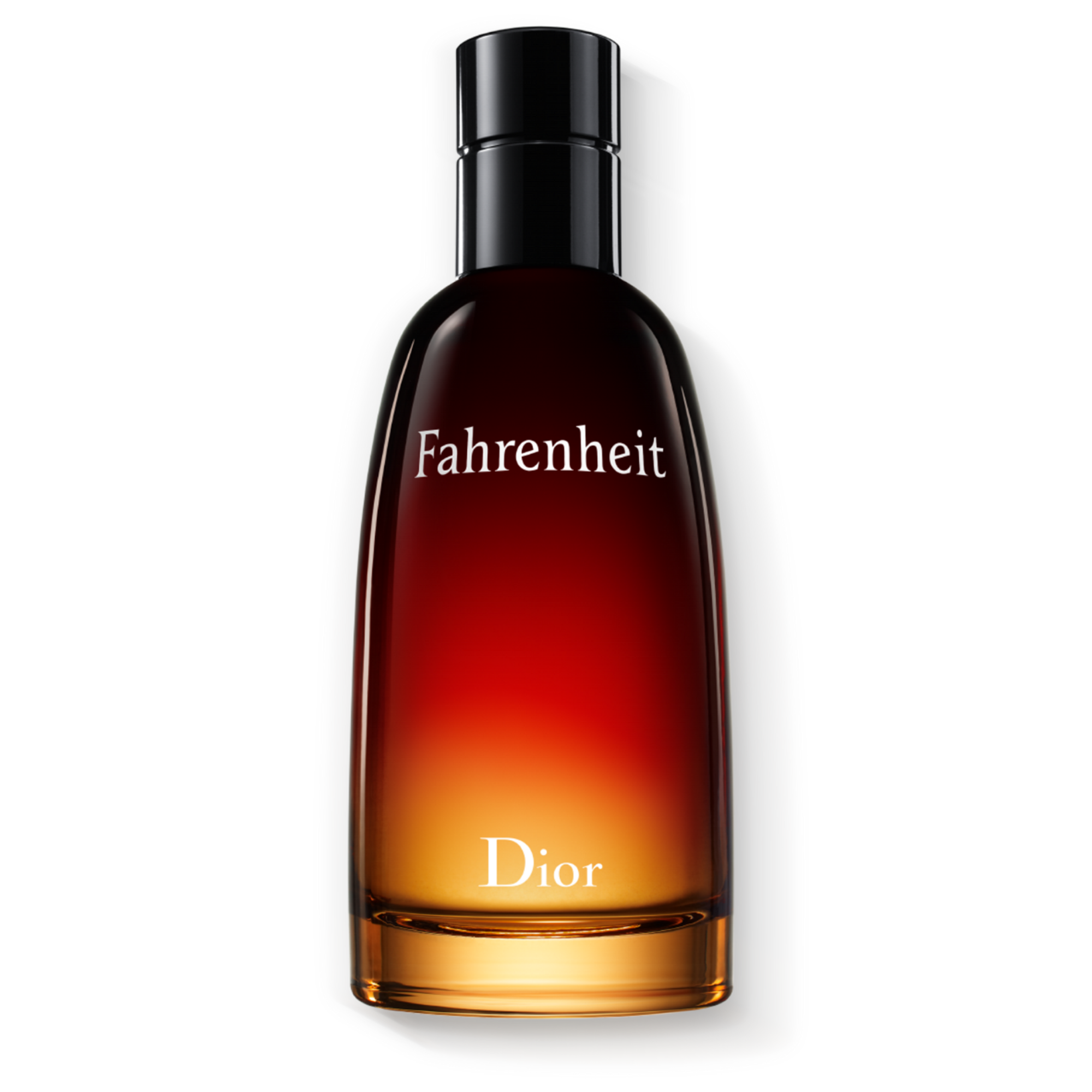 DIOR FAHRENHEIT Eau de Toilette (EdT)