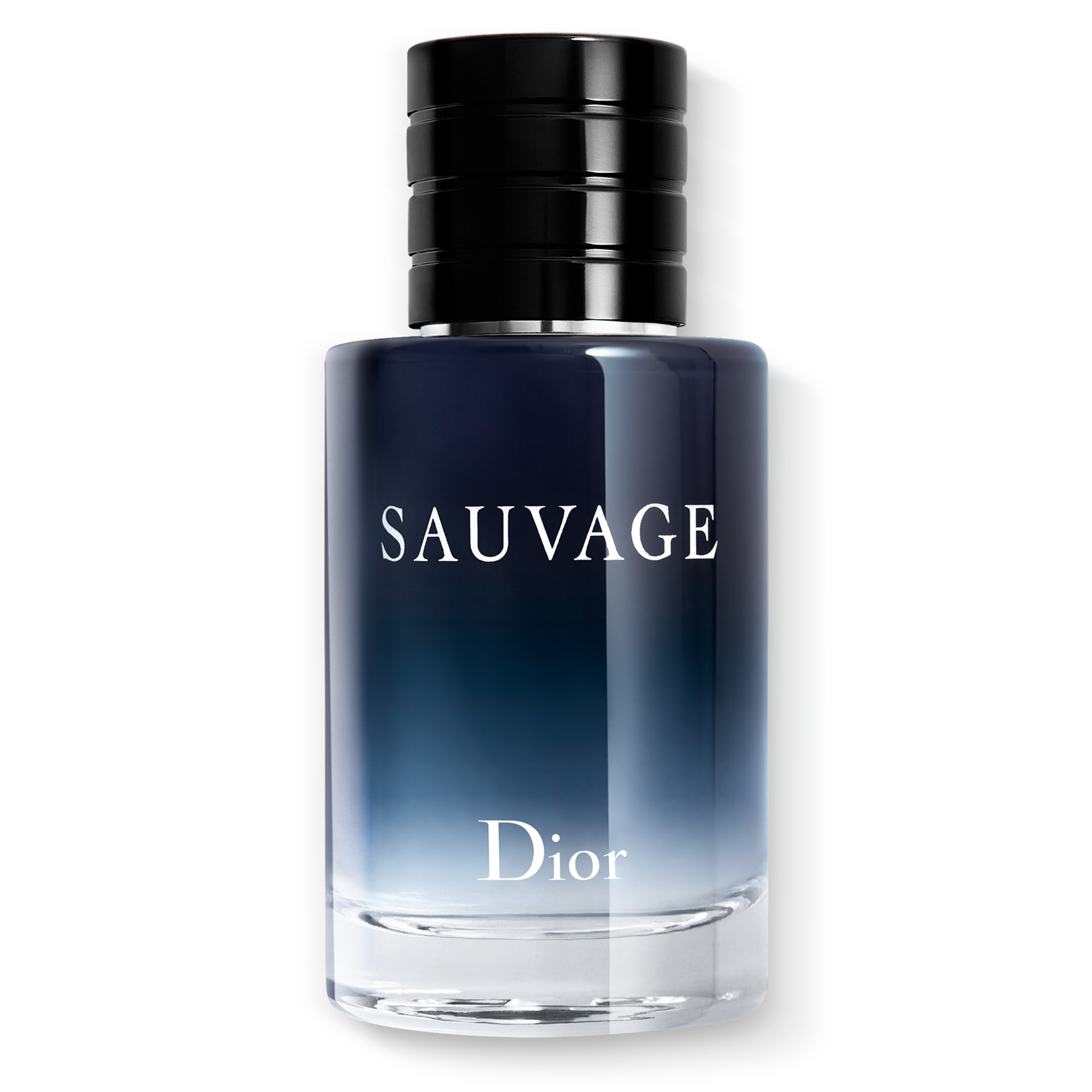 DIOR SAUVAGE Eau de Toilette (EdT)