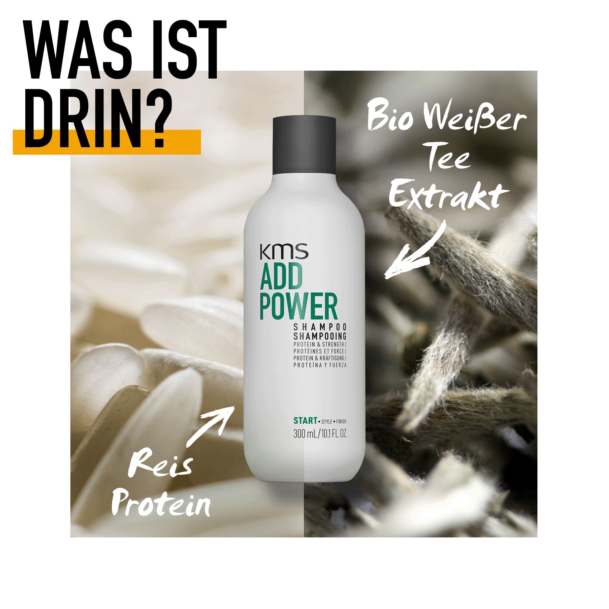 KMS AddPower Shampoo