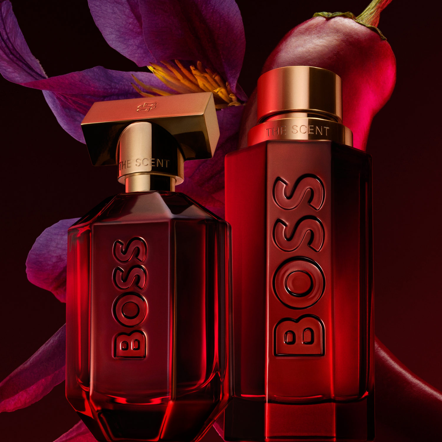 Boss The Scent Elixir for him Parfum Intense
