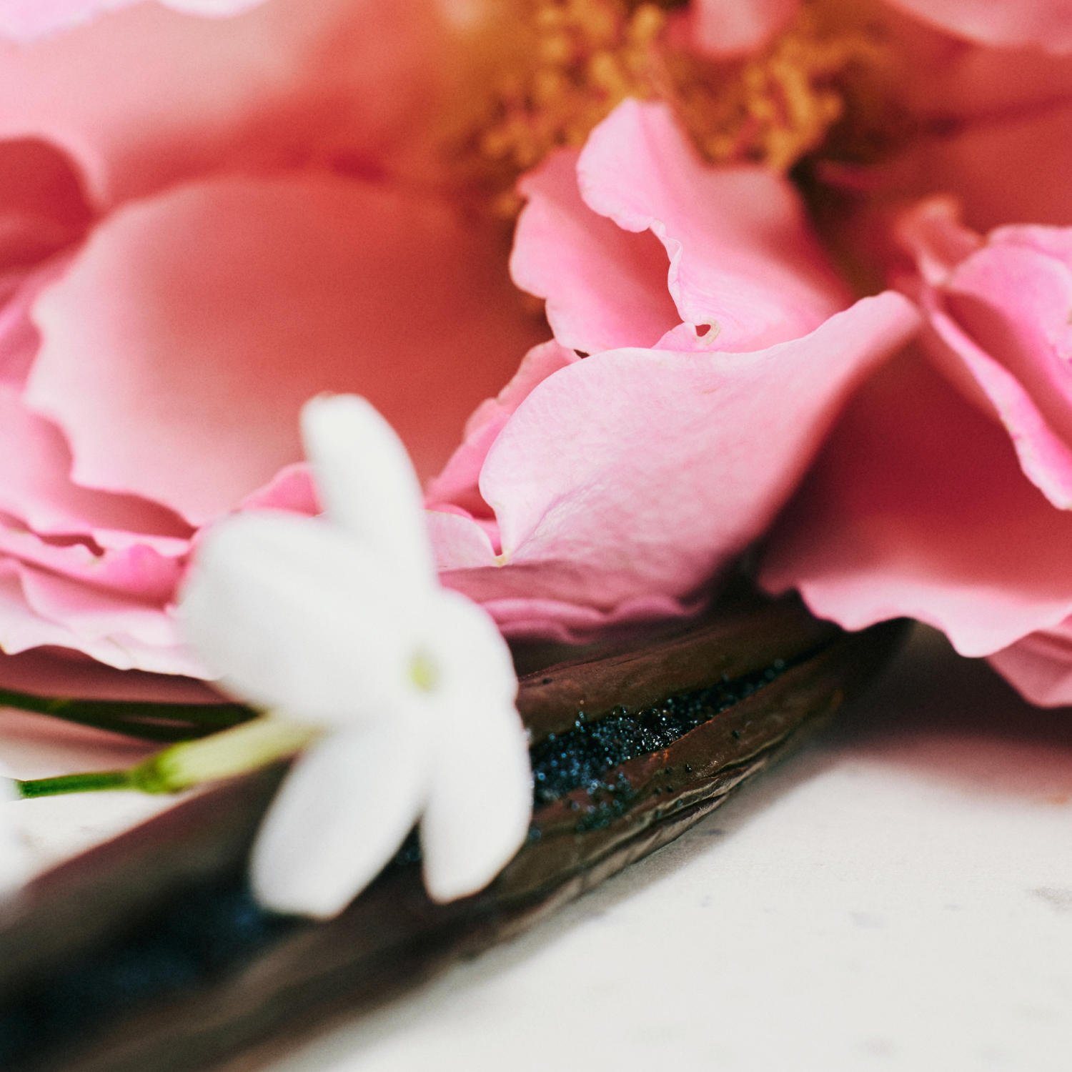 Chloé Lumineuse Eau de Parfum (EdP) Refill