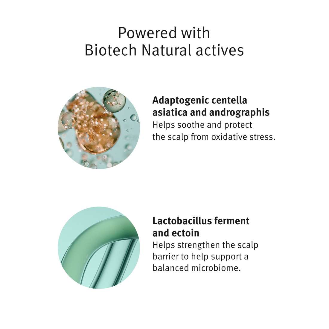 Aveda Scalp Solutions Refreshing Protective Mist