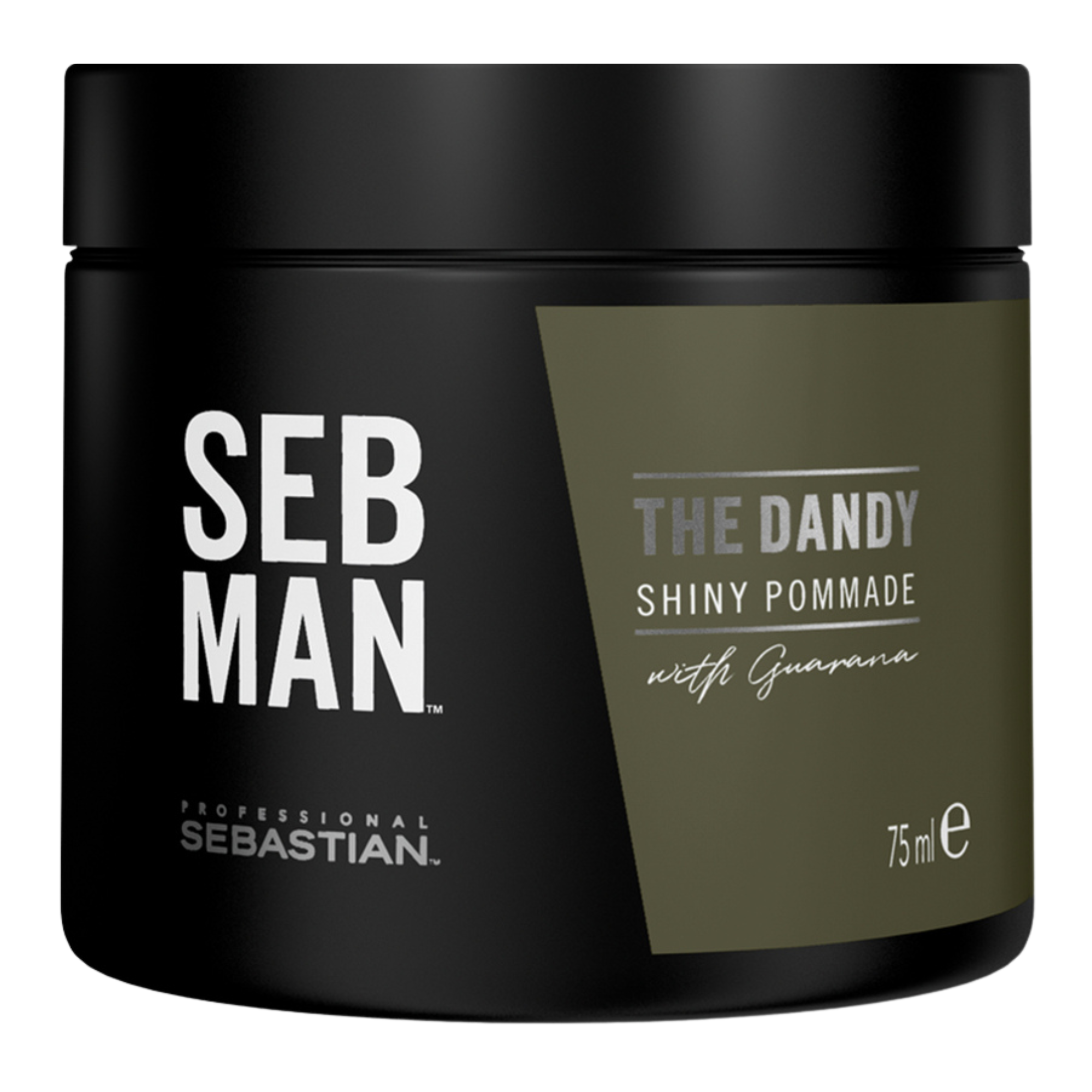 Sebastian Professional SEB MAN The Dandy Pomade mit leichtem Halt und glänzendem Finish