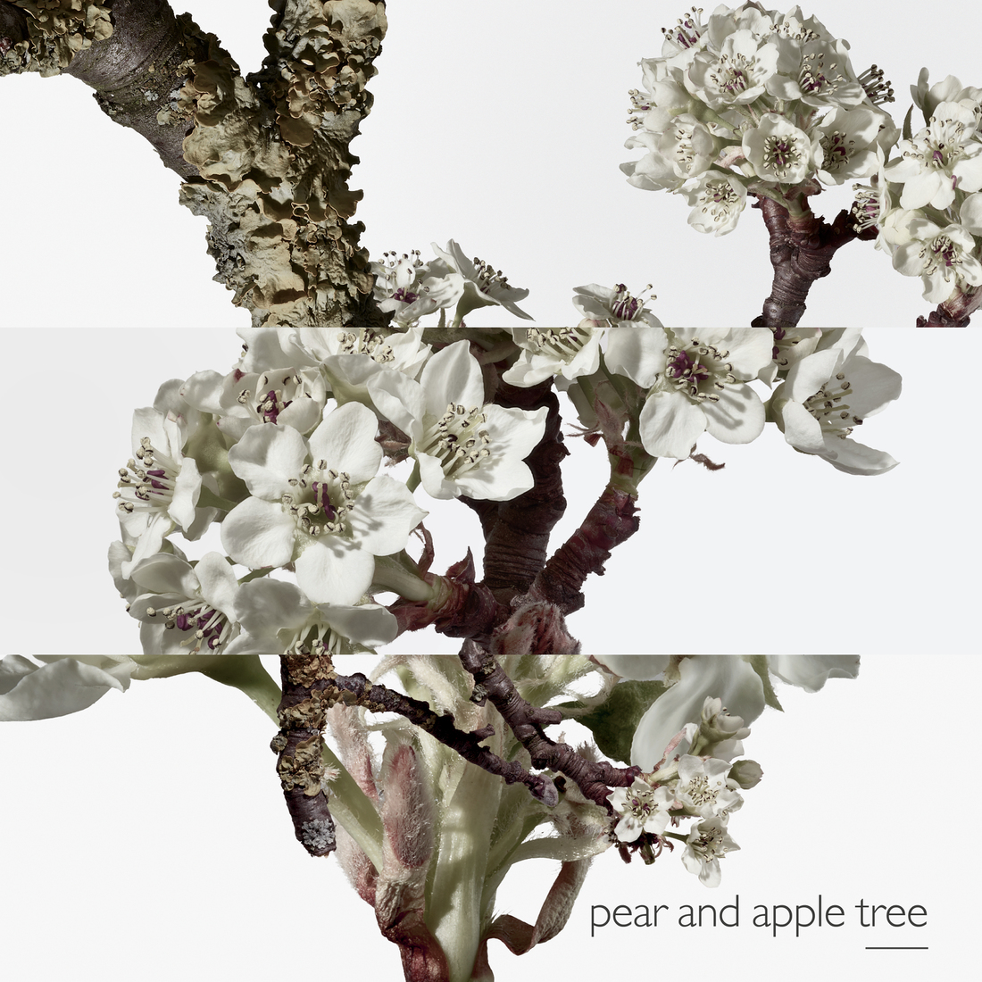 HERMÈS UN JARDIN SUR LE TOIT EAU DE TOILETTE