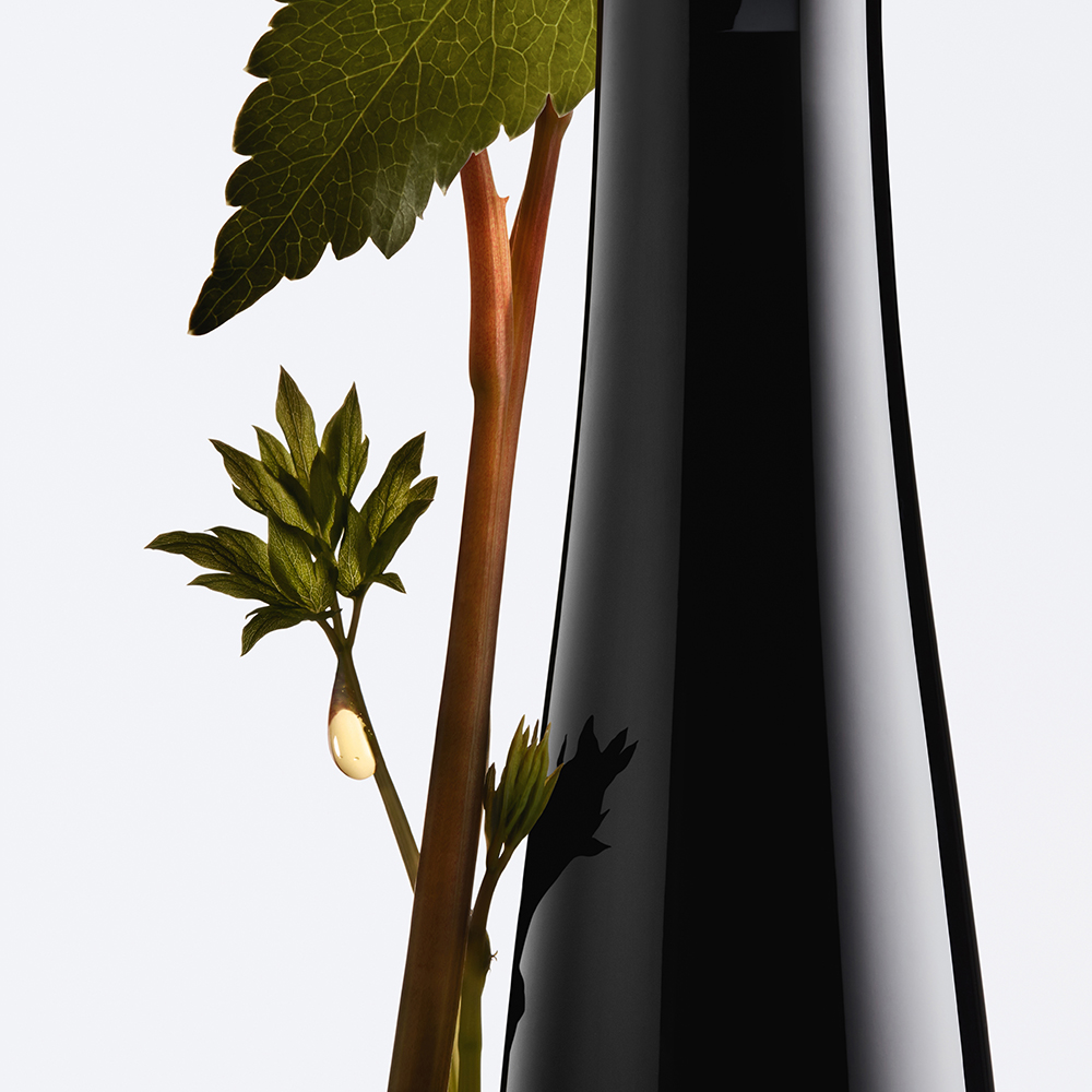 SHU_Kachel_Alina Cosmetic_ashita supreme