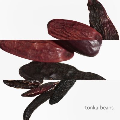 HERMÈS L'OMBRE DES MERVEILLES EAU DE PARFUM