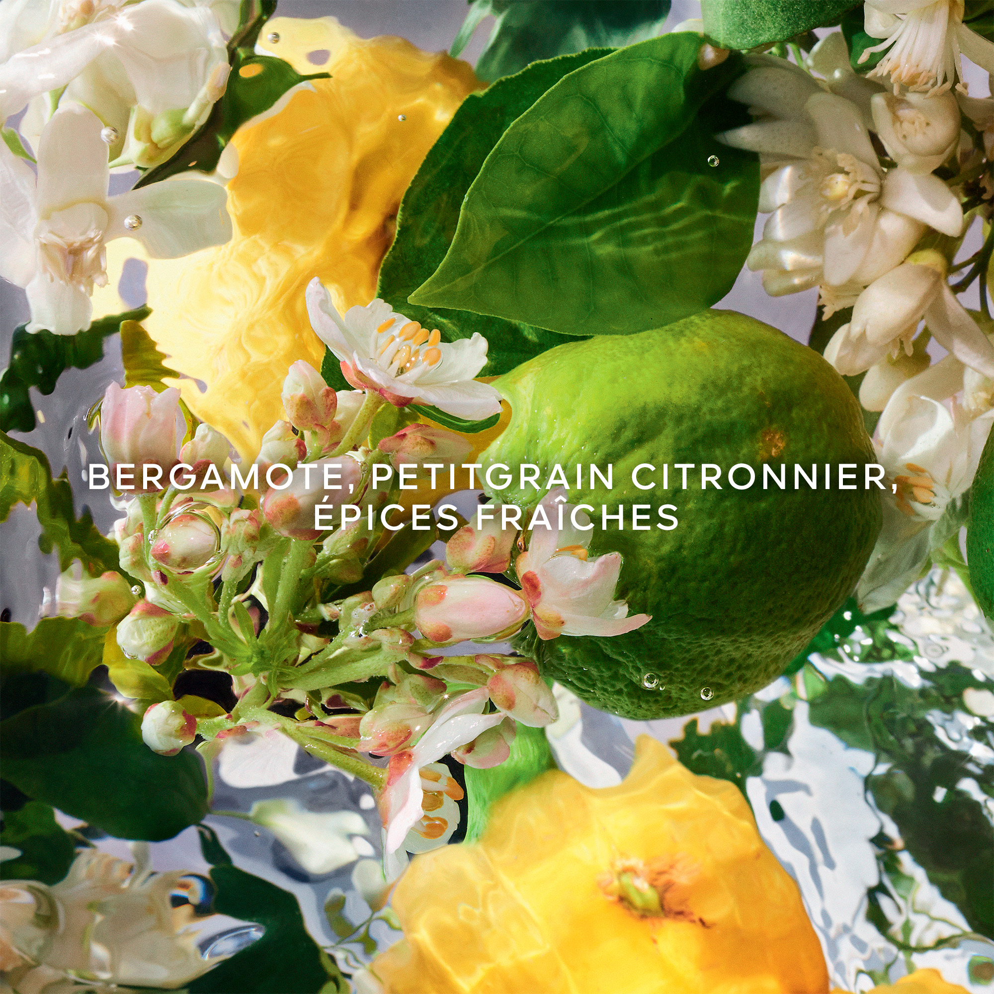 Guerlain Aqua Allegoria Bergamote Calabria Eau de Toilette (EdT)