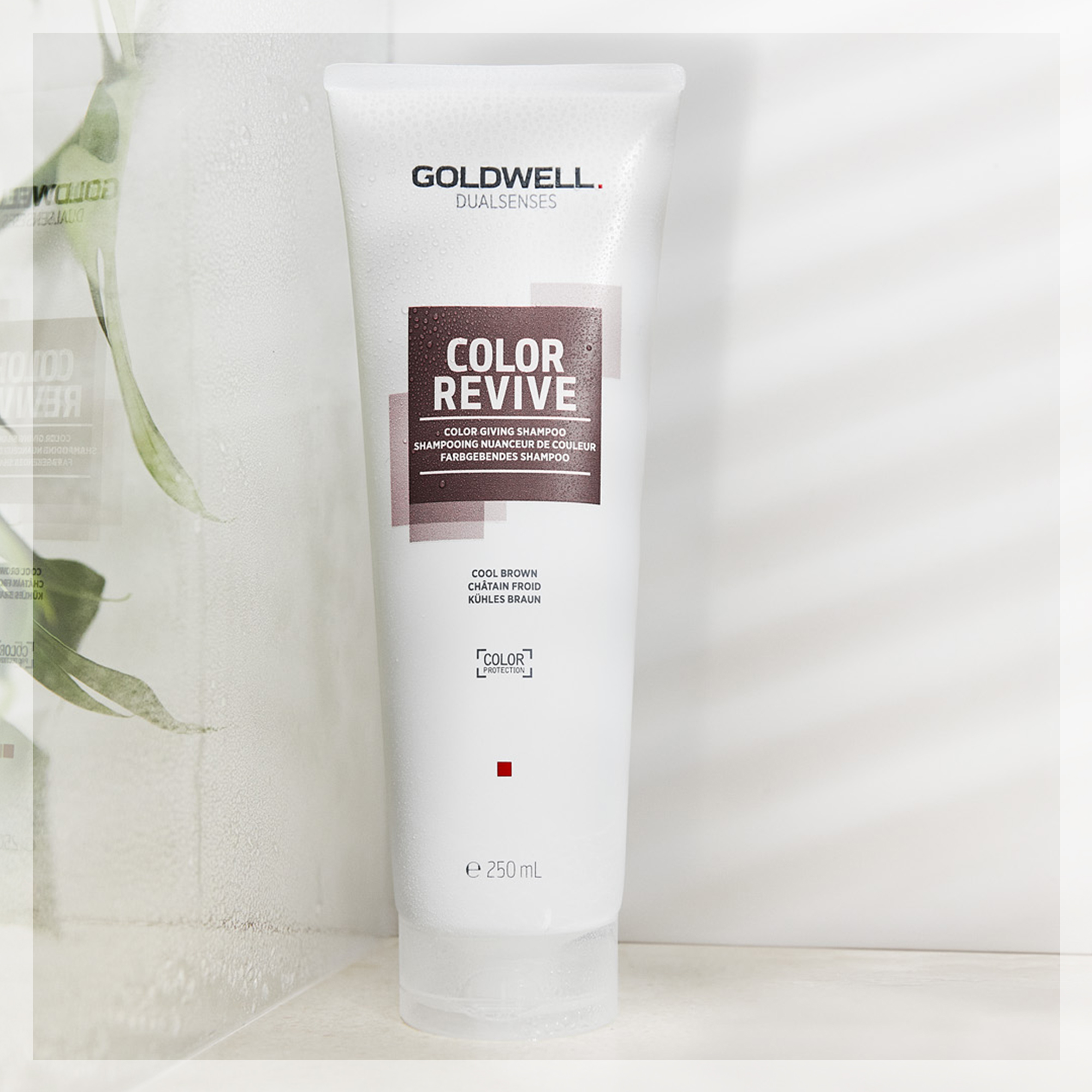 Goldwell Dualsenses Revive Farbgebendes Shampoo