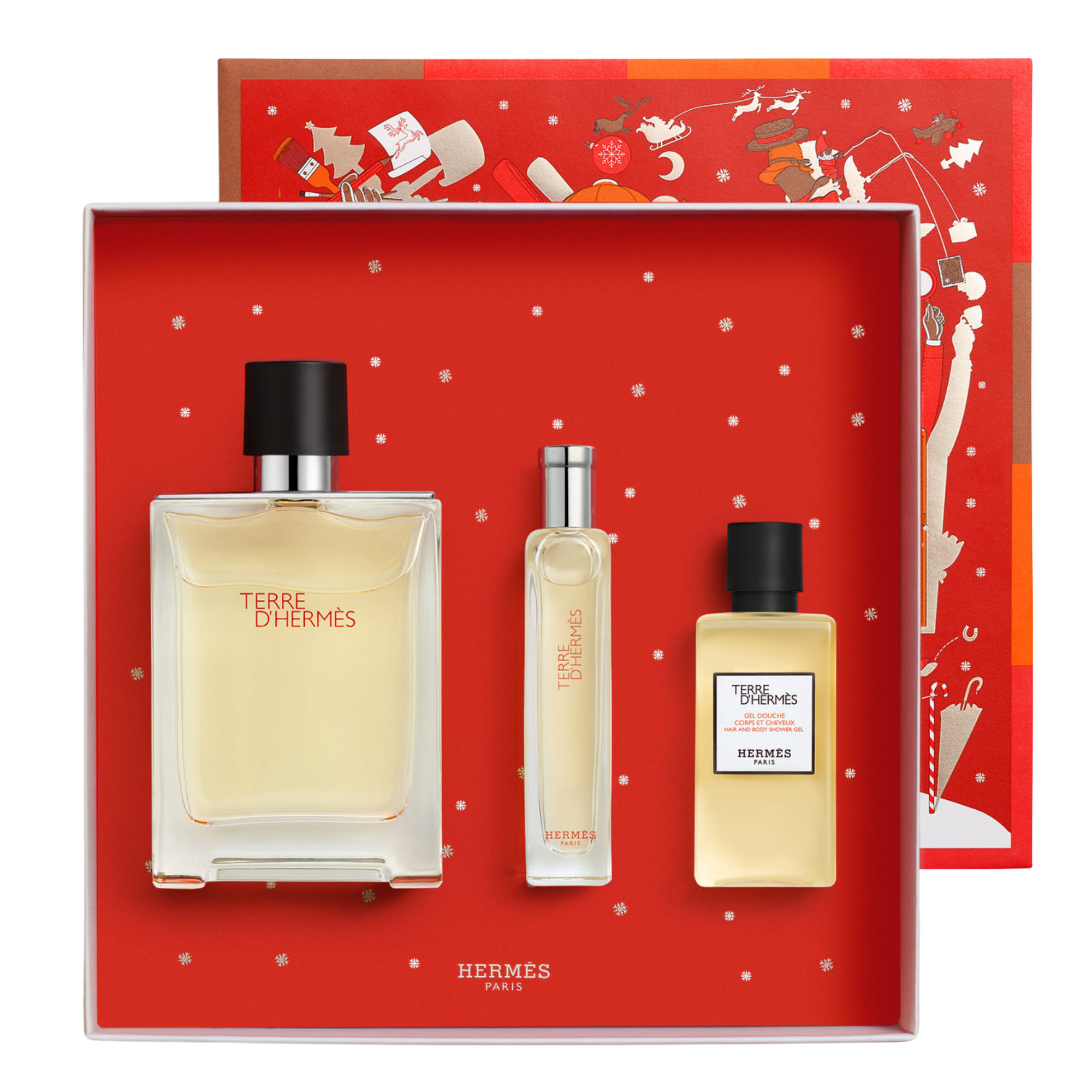 HERMÈS TERRE D'HERMÈS Eau de Toilette (EdT) 100ml SET
