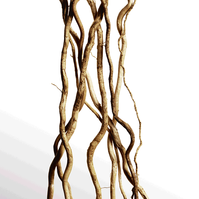 Davidoff Cool Water Parfum