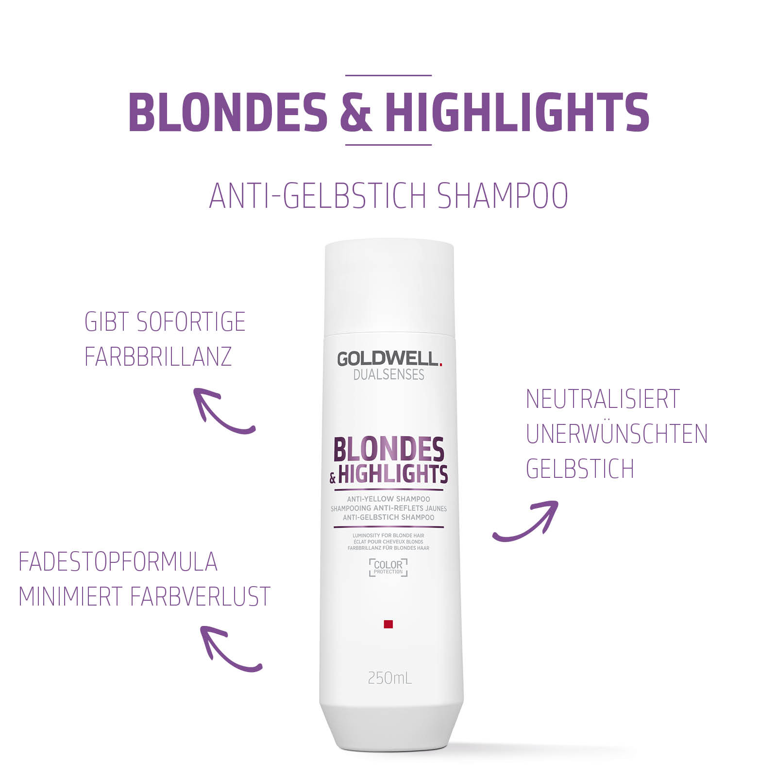 Goldwell Dualsenses Blondes & Highlights Anti-Yellow Shampoo