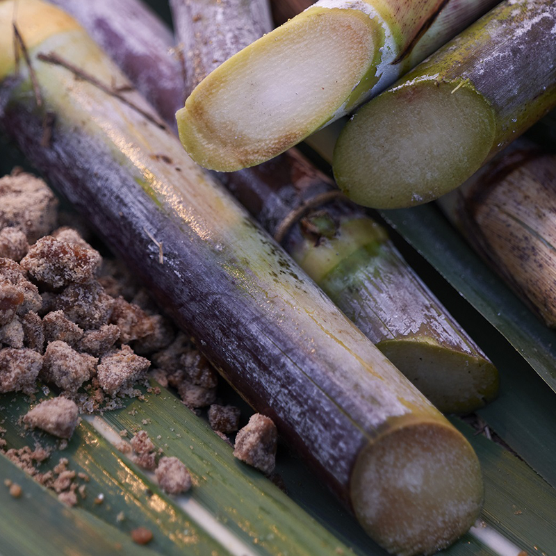 Shiseido Waso Satocane Pore Purifying Scrub Mask