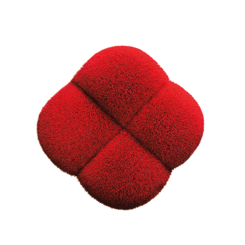 Shiseido Brush Polishing Face