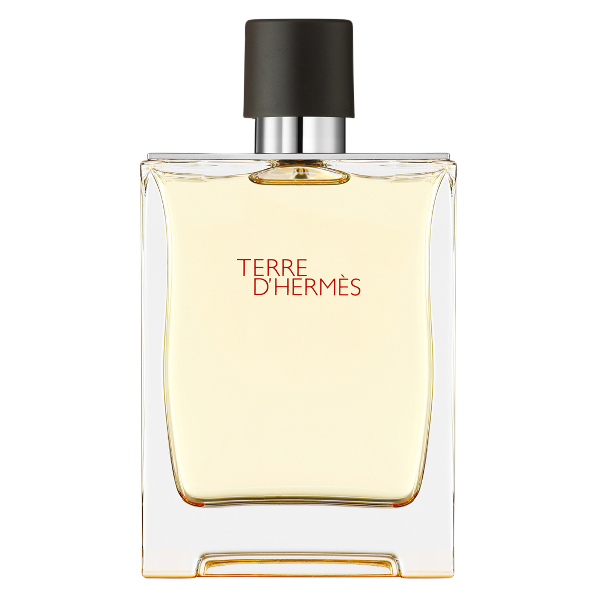 HERMÈS TERRE D'HERMÈS EAU DE TOILETTE