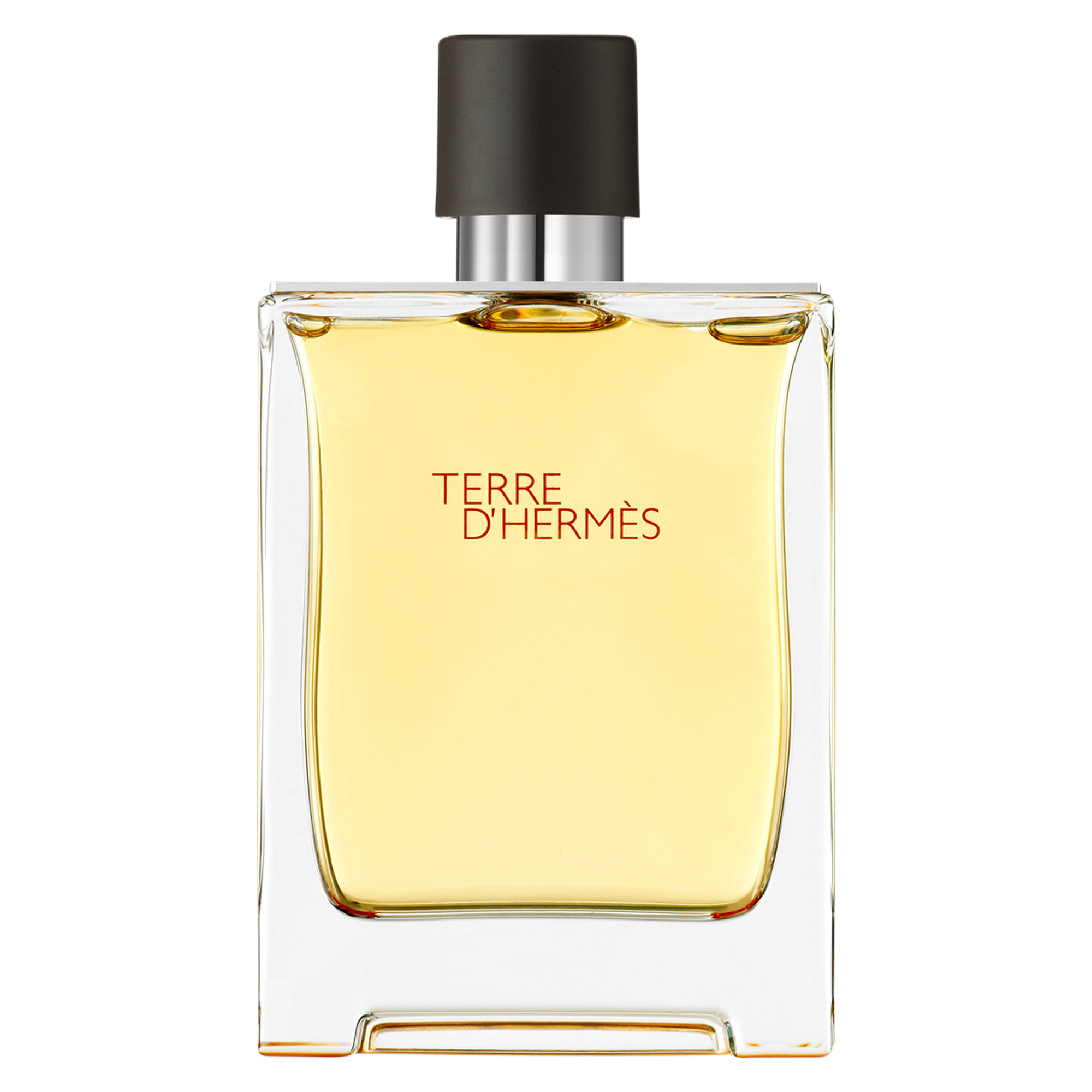 HERMÈS TERRE D'HERMÈS PARFUM