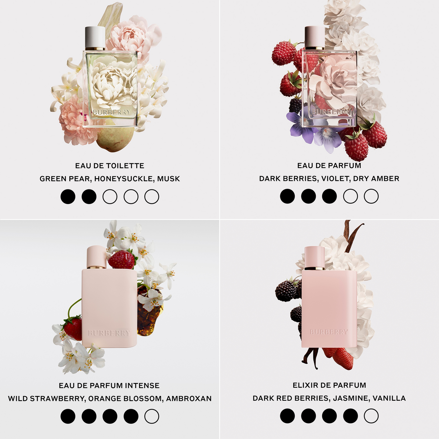 Burberry Her Eau de Parfum (EdP) Intense