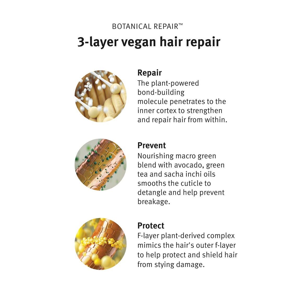 Aveda Botanical Repair Strengthening Shampoo