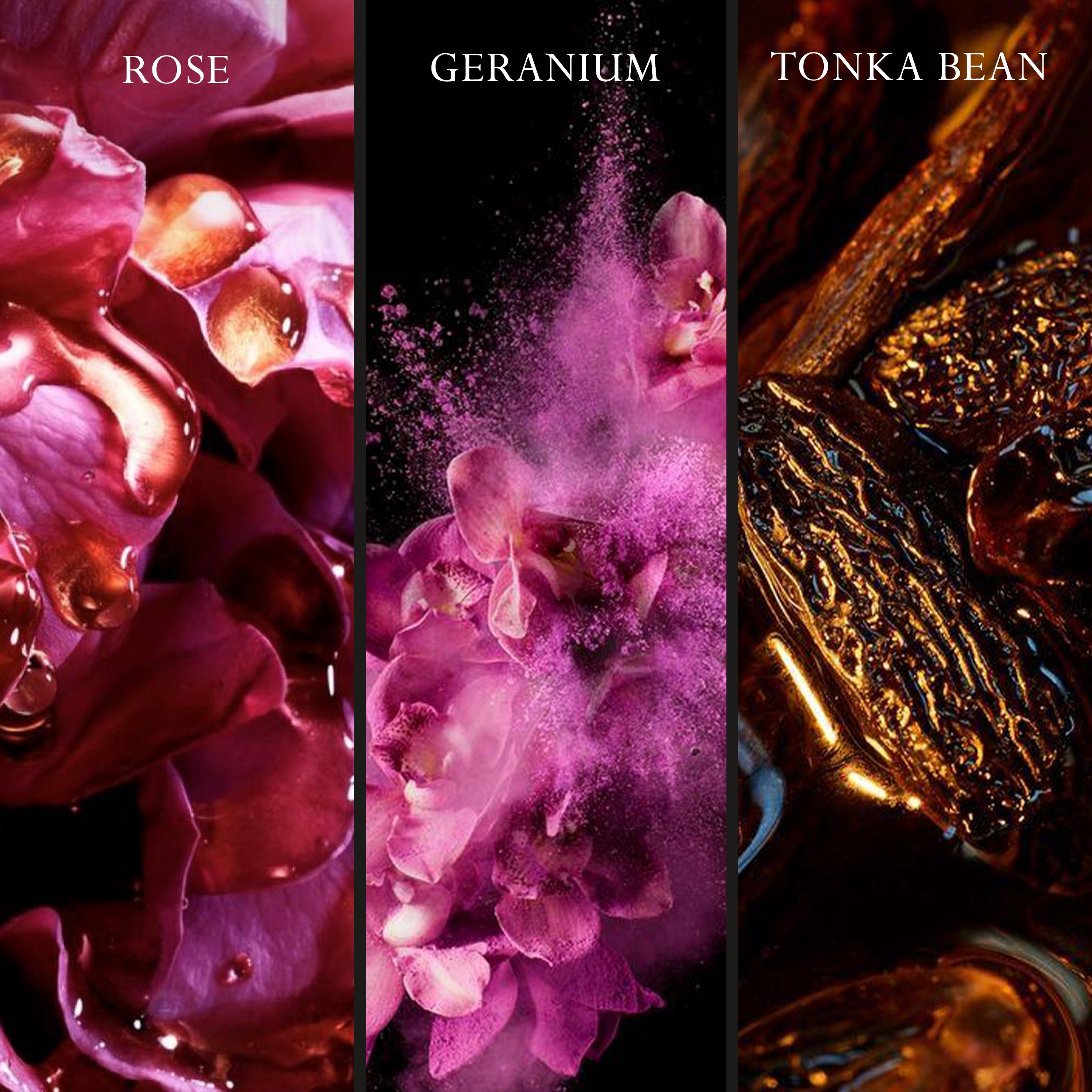 Joop! Homme Eau de Parfum (EdP) Intense