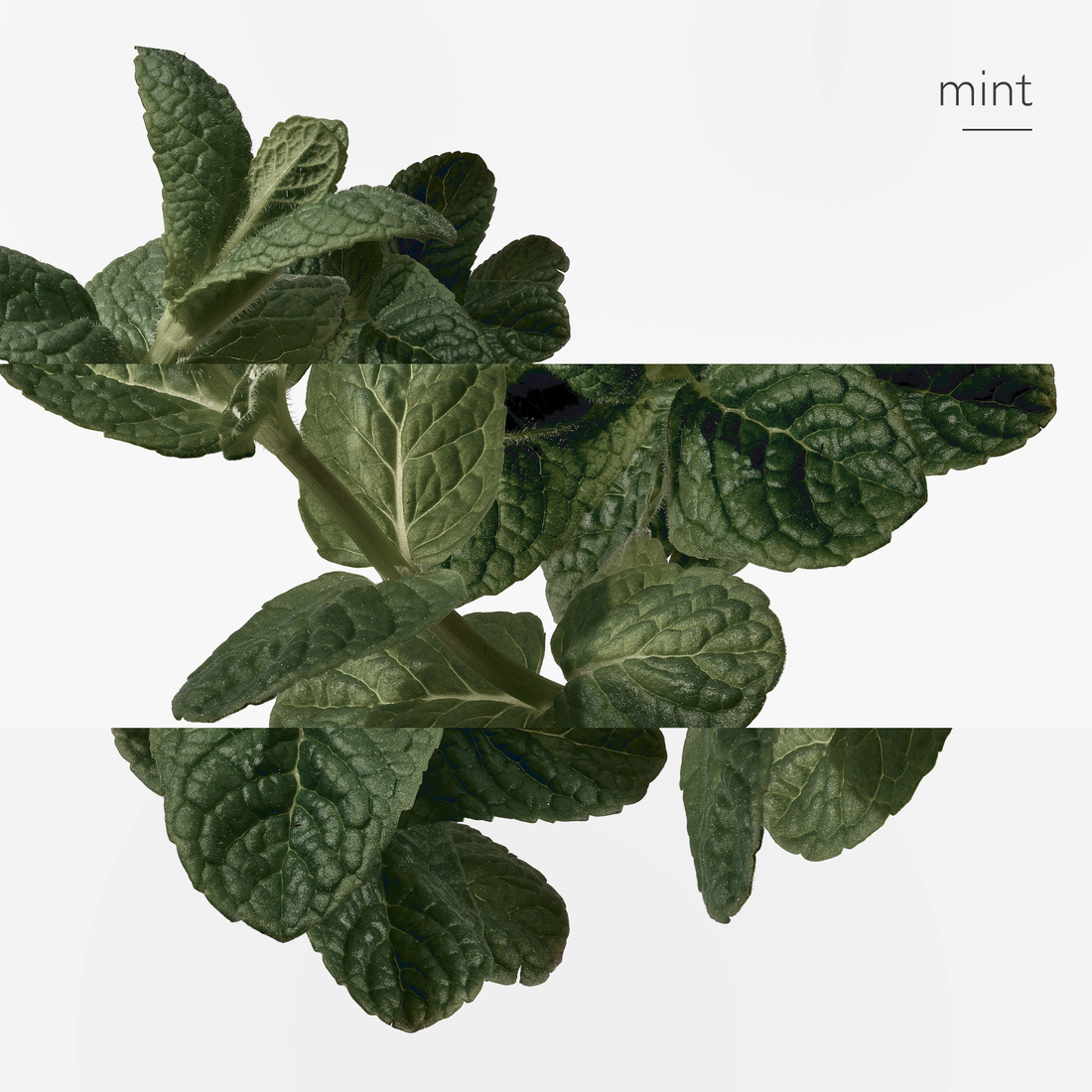 HERMÈS EAU D'ORANGE VERTE EAU DE COLOGNE