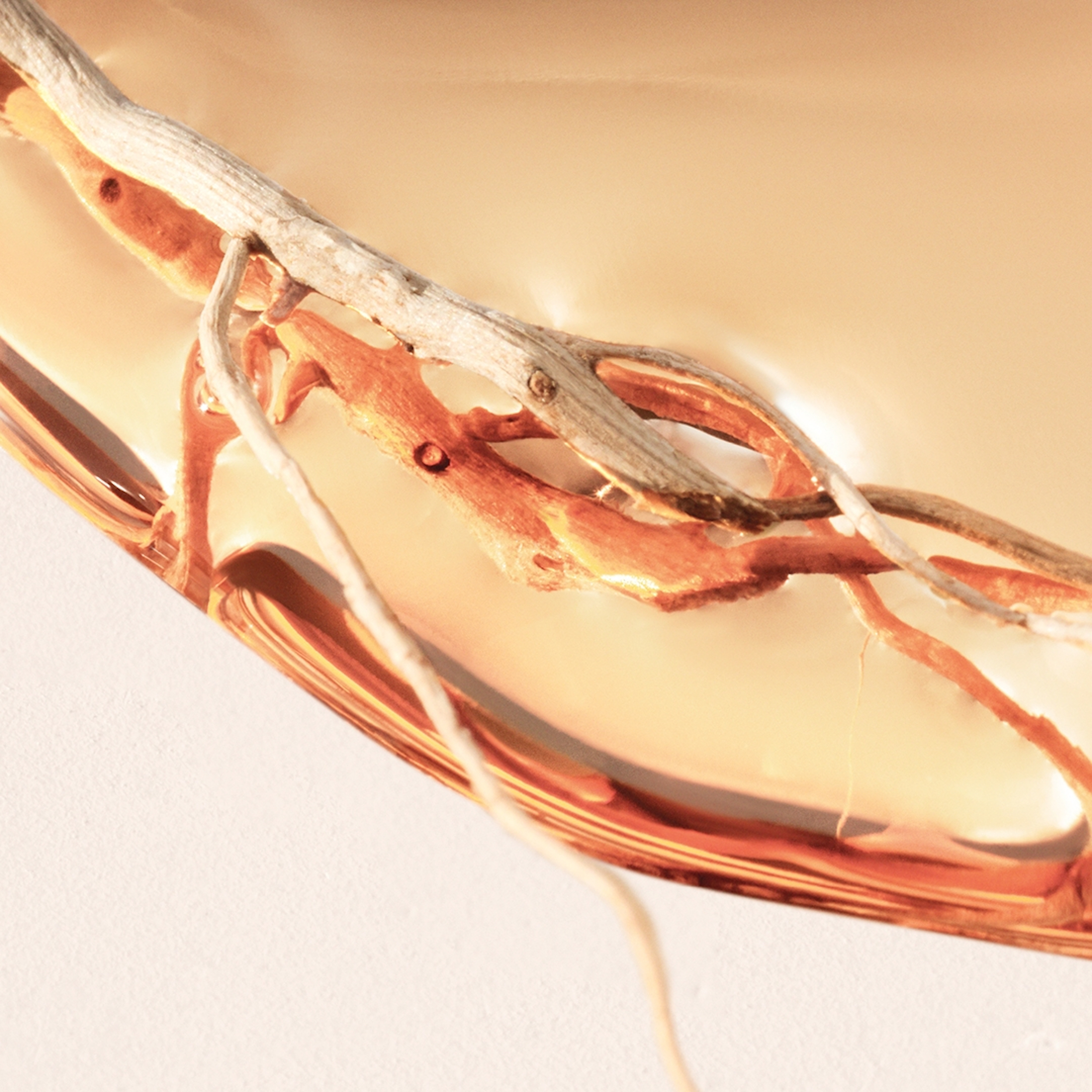 Boss Alive Intense Eau de Parfum (EdP)