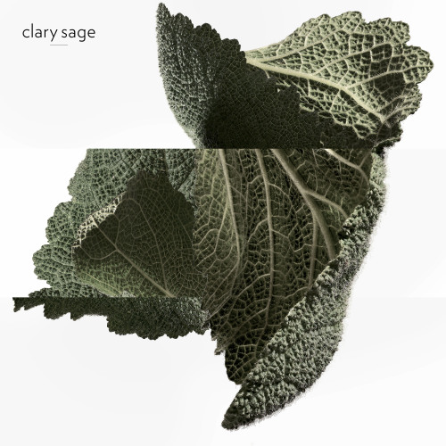 HERMÈS H24 EAU DE PARFUM REFILLABLE