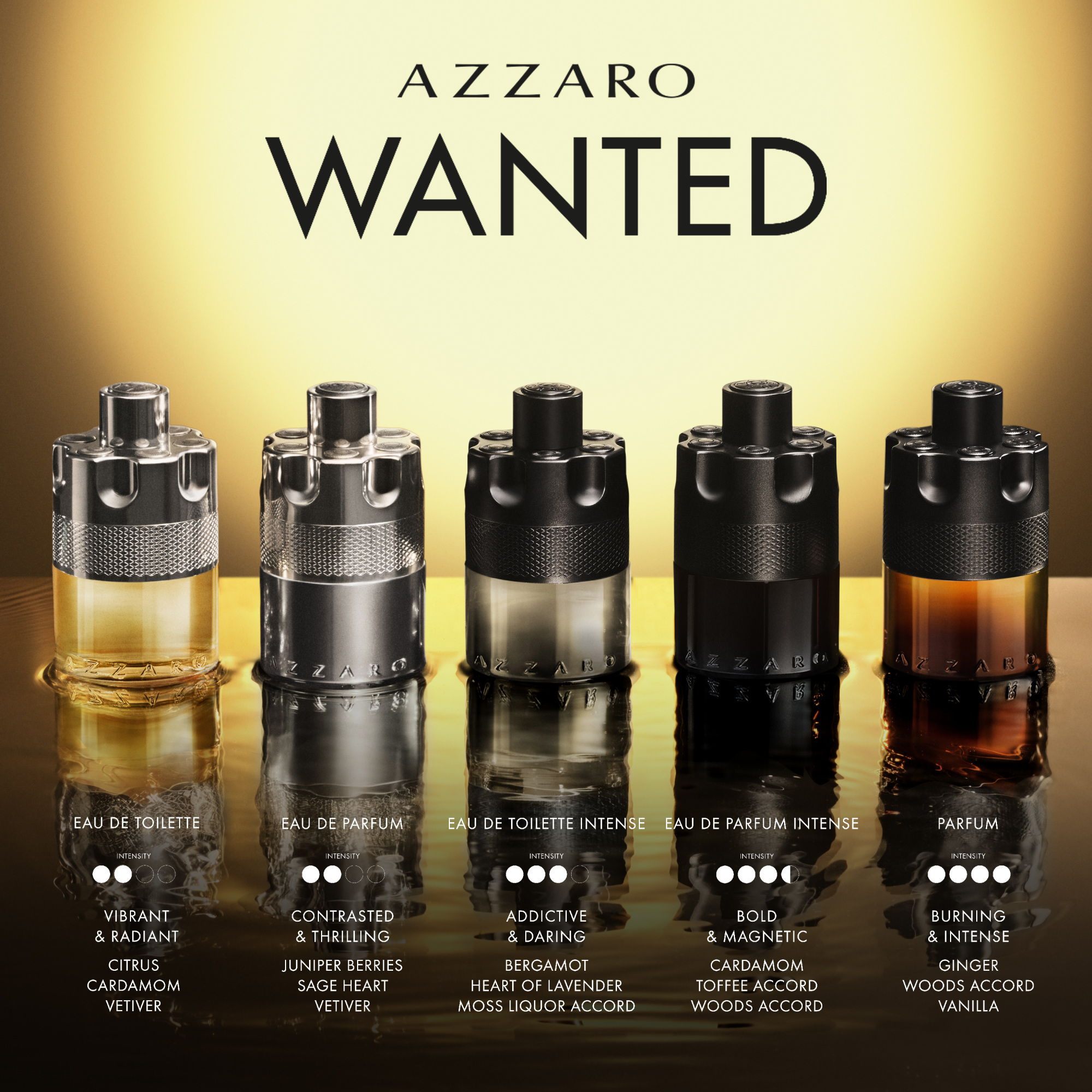 Azzaro The Most Wanted Eau de Toilette Intense