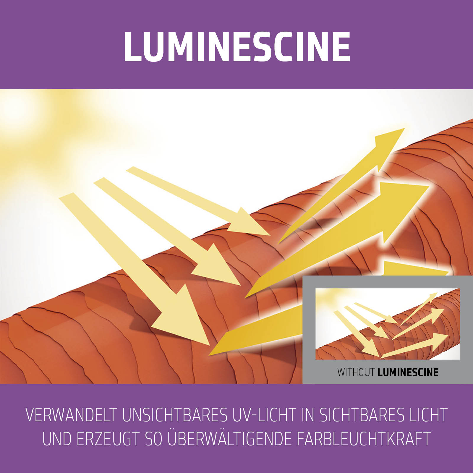 Goldwell Dualsenses Blondes & Highlights Anti-Yellow Shampoo