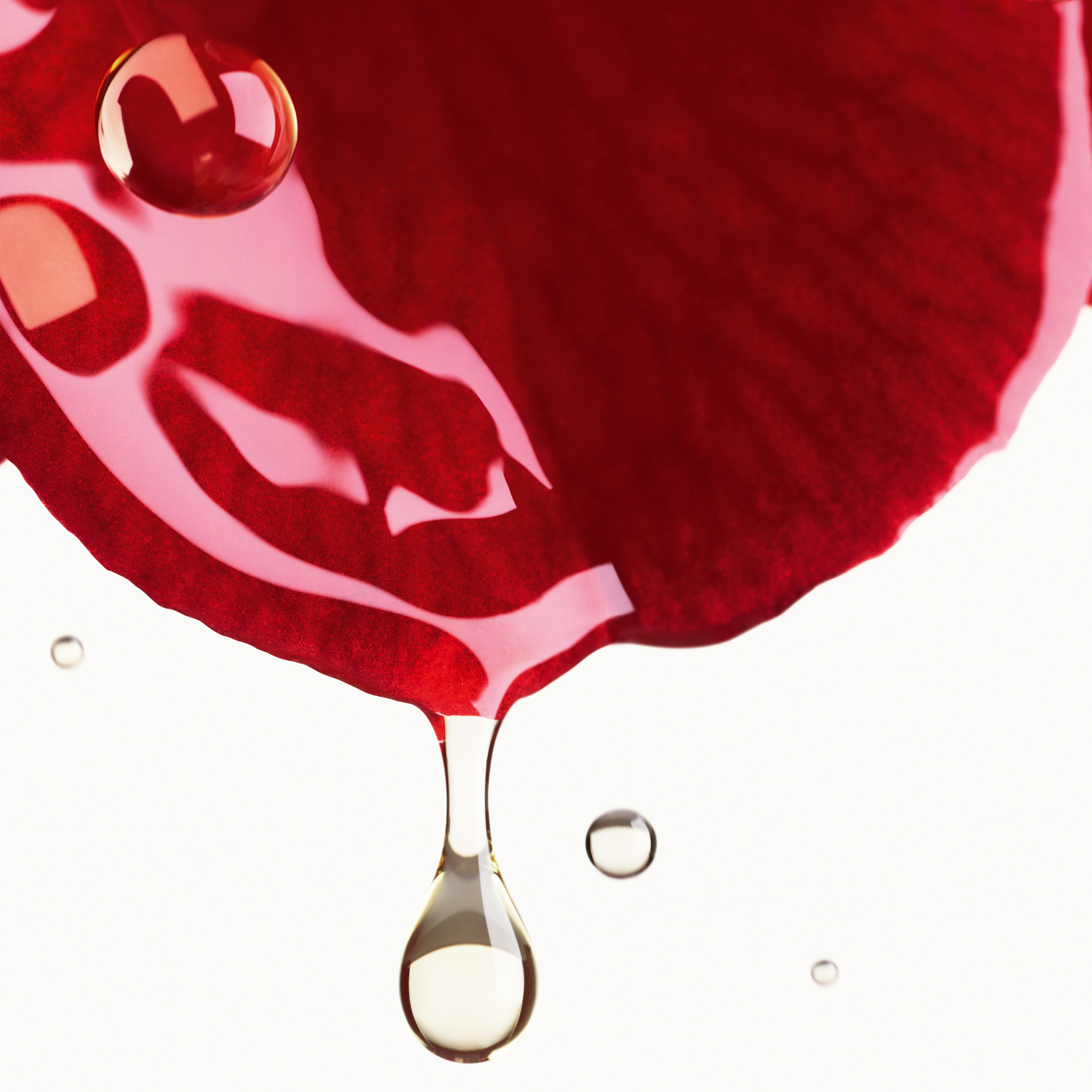 CHANEL N°1 DE CHANEL CREME MIT ROTER KAMELIE – NACHFÜLLUNG POLSTERT AUF – GLÄTTET – SCHÜTZT