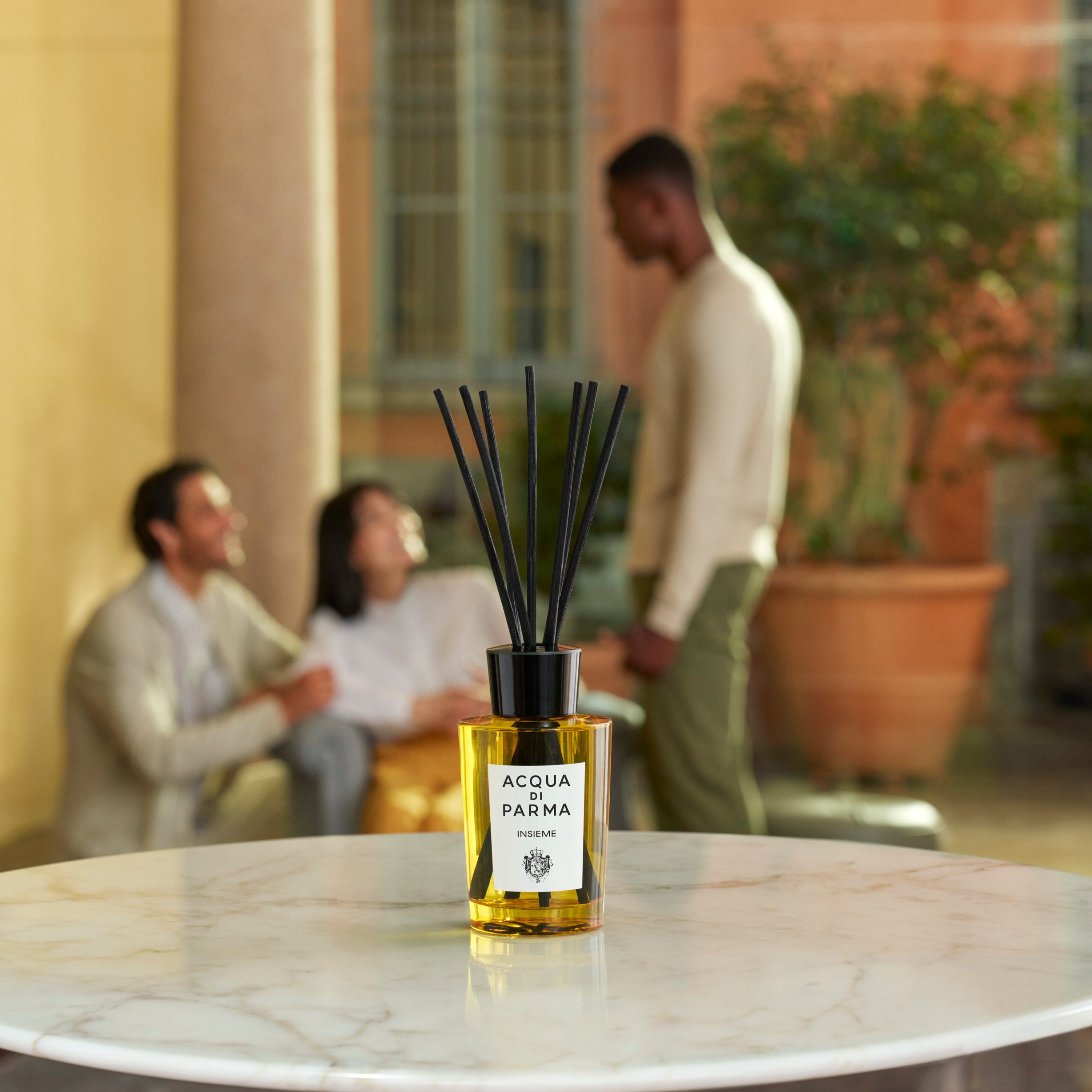 ACQUA DI PARMA INSIEME Room Diffuser