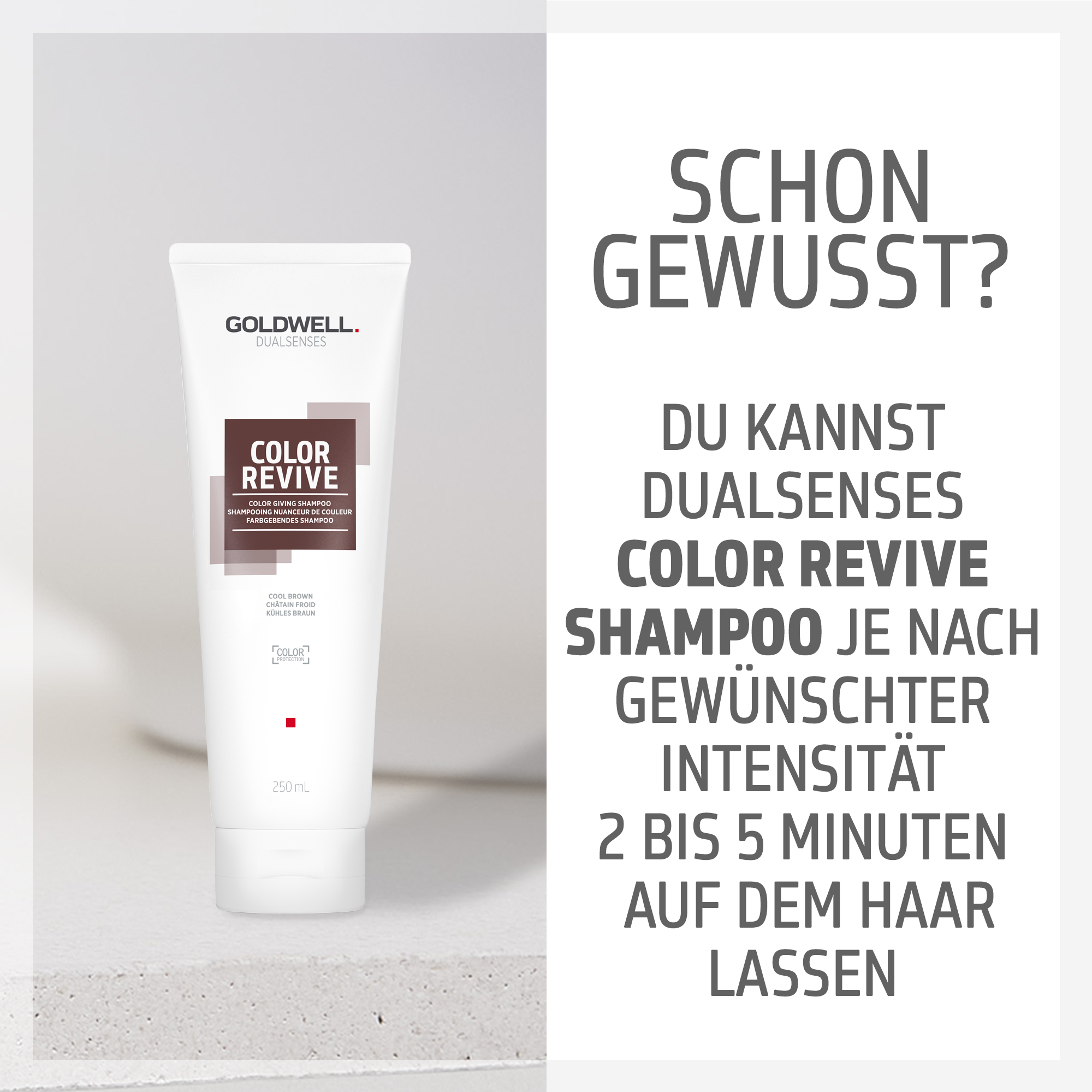 Goldwell Dualsenses Revive Farbgebendes Shampoo