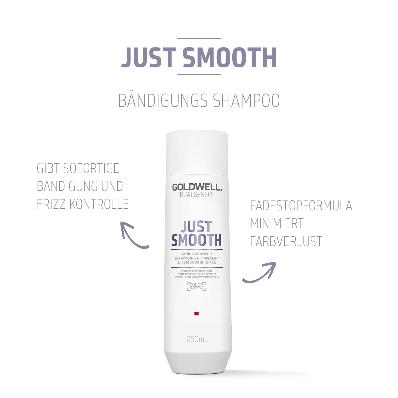 Goldwell Dualsenses Just Smooth Taming Shampoo