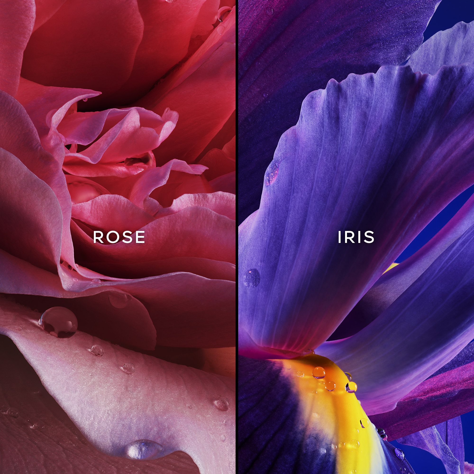 Guerlain L'Initial Eau de Parfum (EdP)