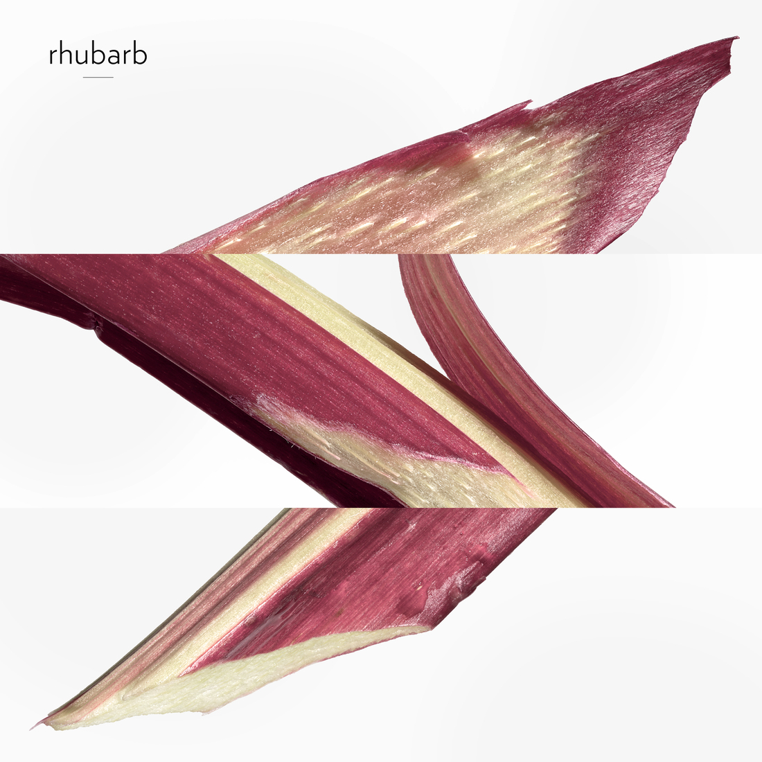 HERMÈS EAU DE RHUBARBE ÉCARLATE EAU DE COLOGNE