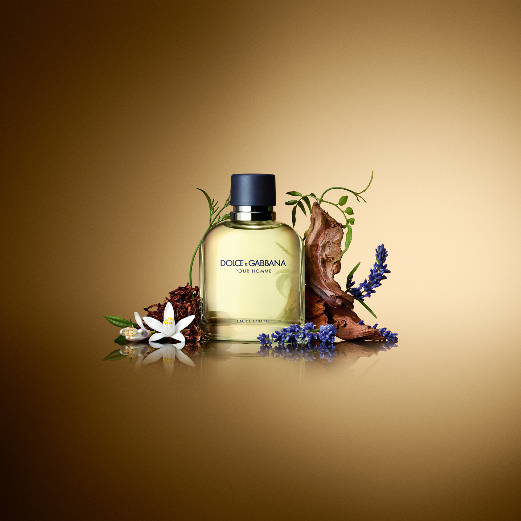 Dolce&Gabbana Pour Homme Eau de Toilette (EdT)