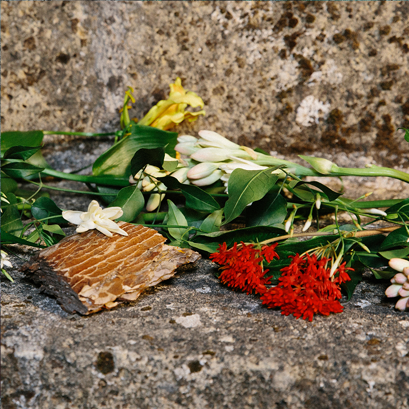 Gucci Bloom Profumo di Fiori Eau de Parfum (EdP)