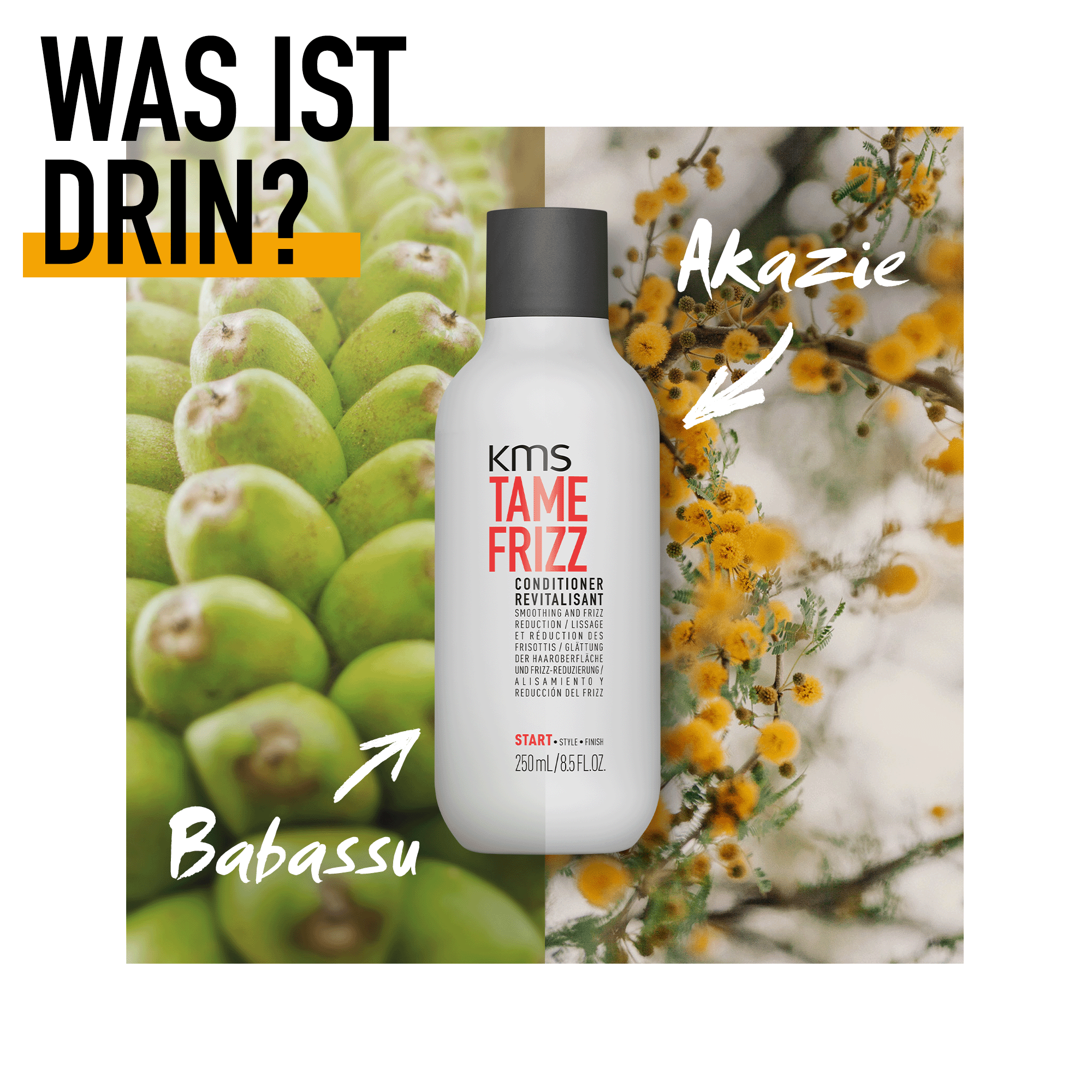 KMS TameFrizz Conditioner