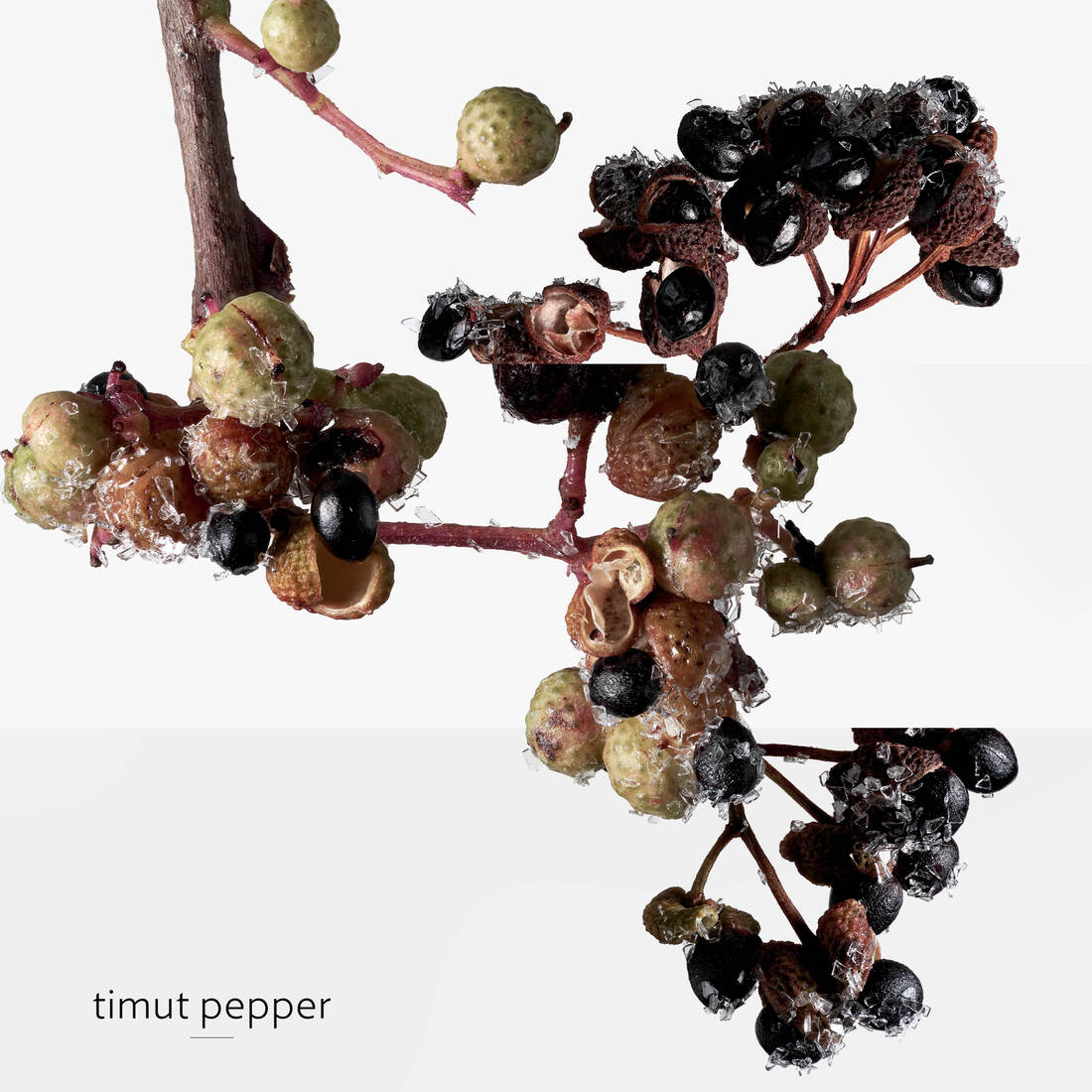 HERMÈS TERRE D'HERMÈS EAU GIVRÉE EAU DE PARFUM REFILL