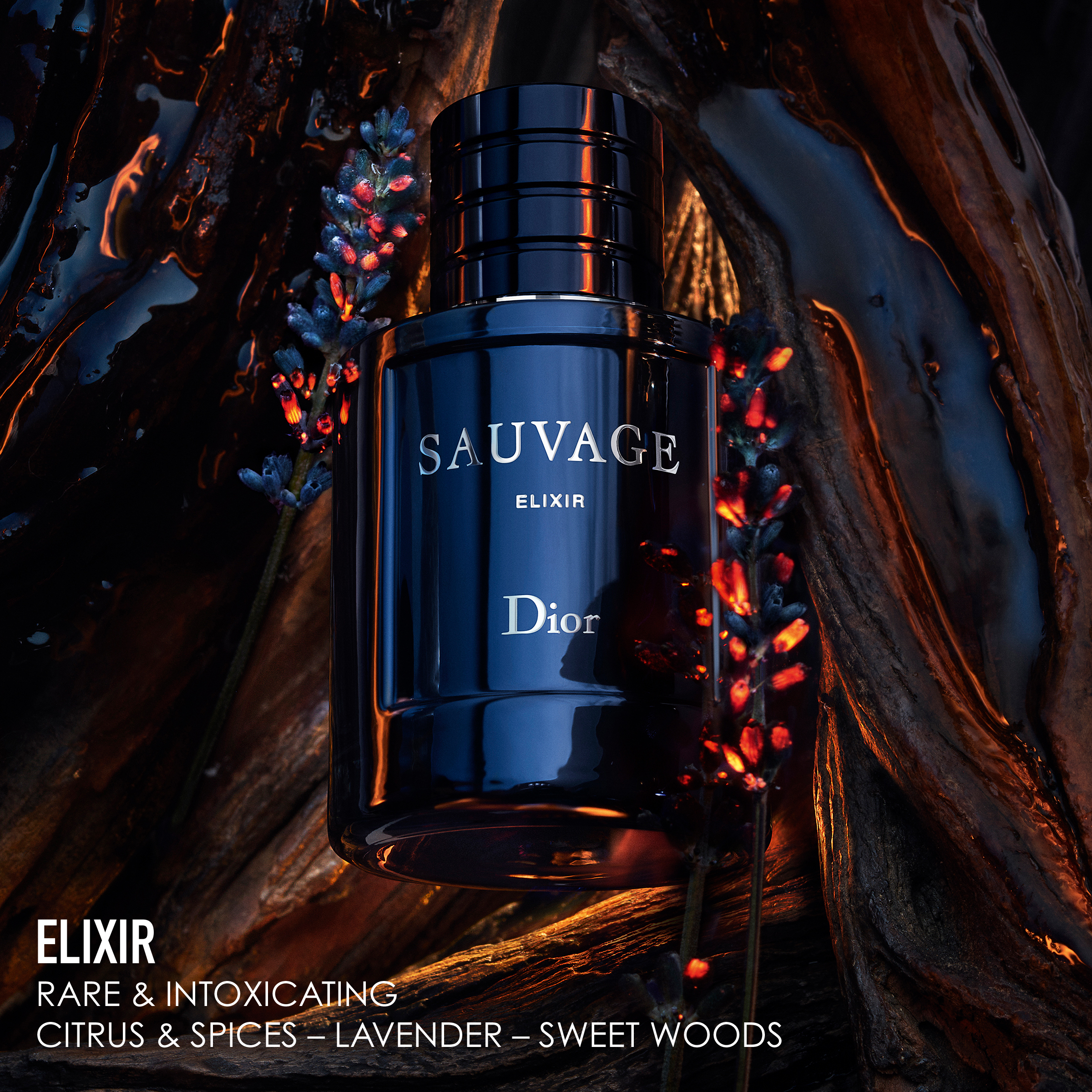 DIOR SAUVAGE Elixir