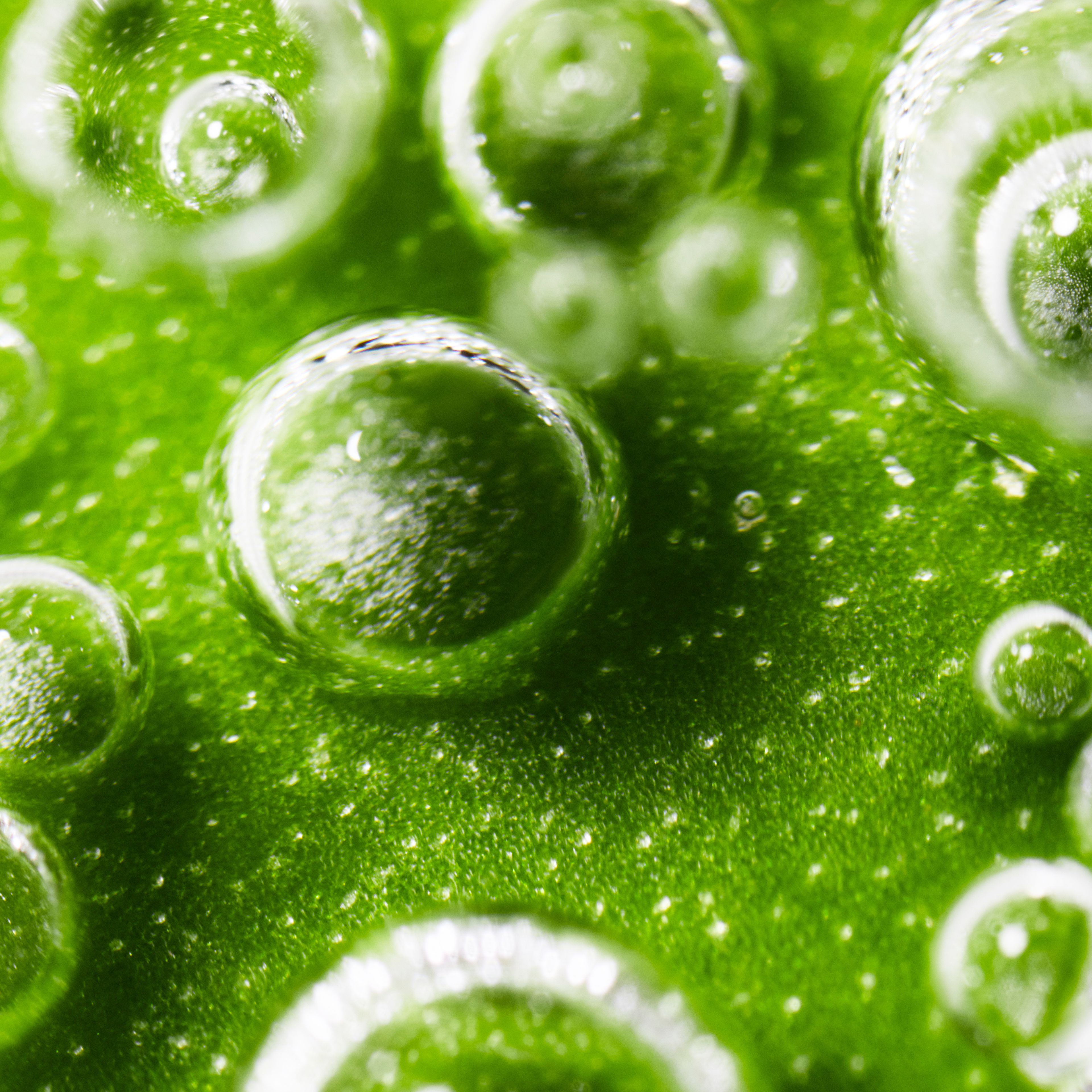 Sisley Émulsion Écologique Form Avancée